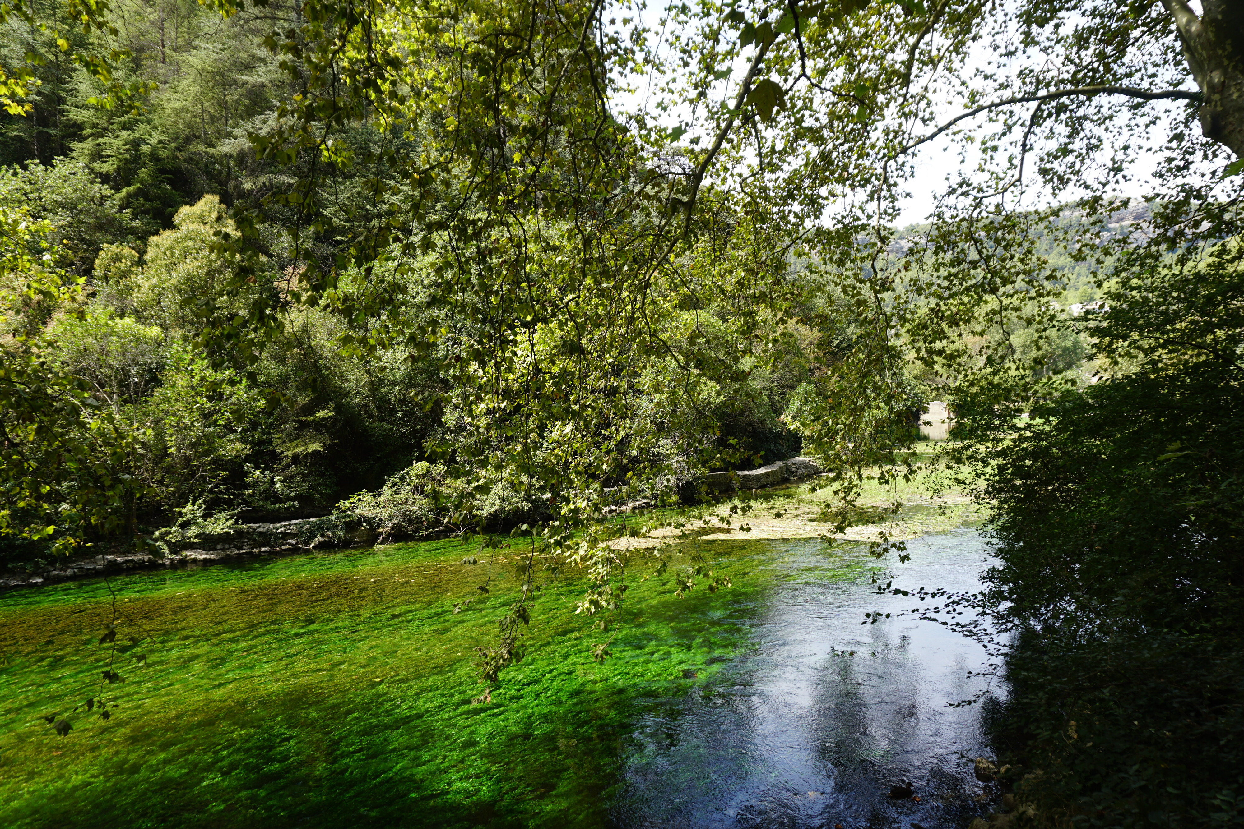 Picture France Fontaine-de-Vaucluse 2017-08 1 - Tours Fontaine-de-Vaucluse