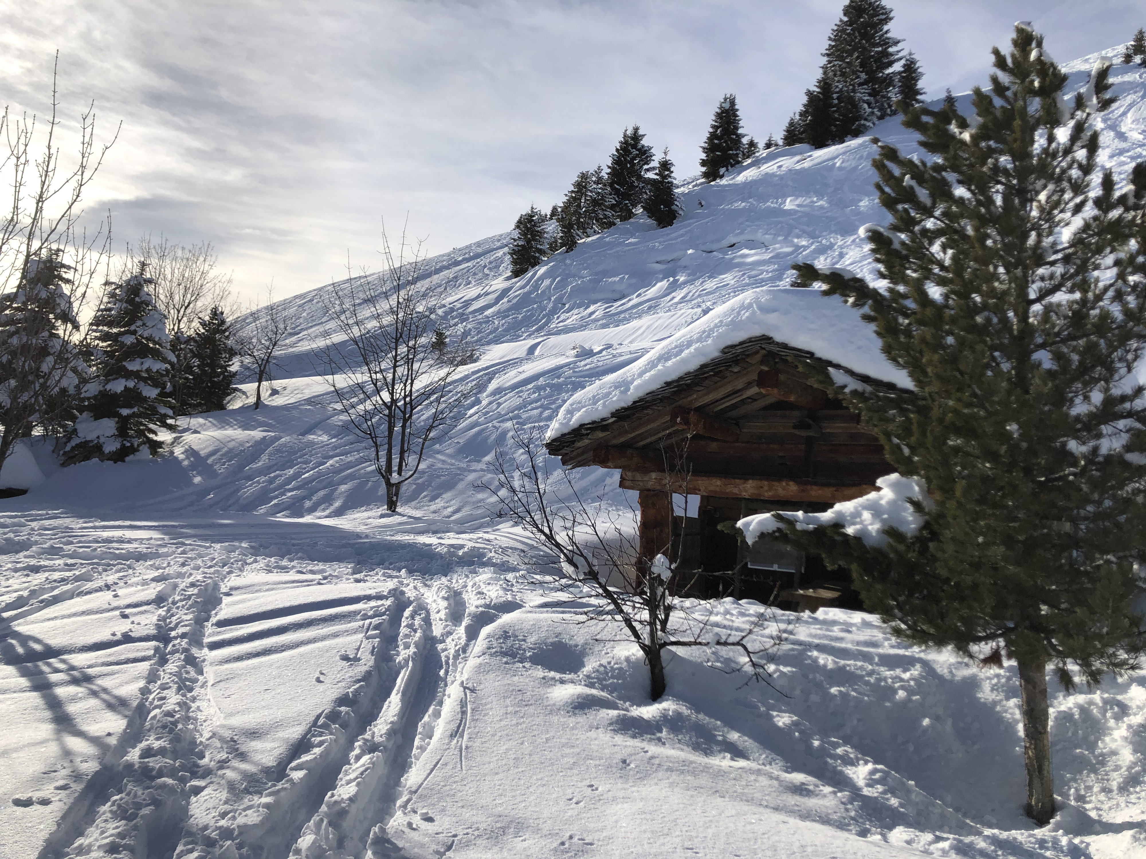 Picture France Praz sur Arly 2019-12 39 - Recreation Praz sur Arly