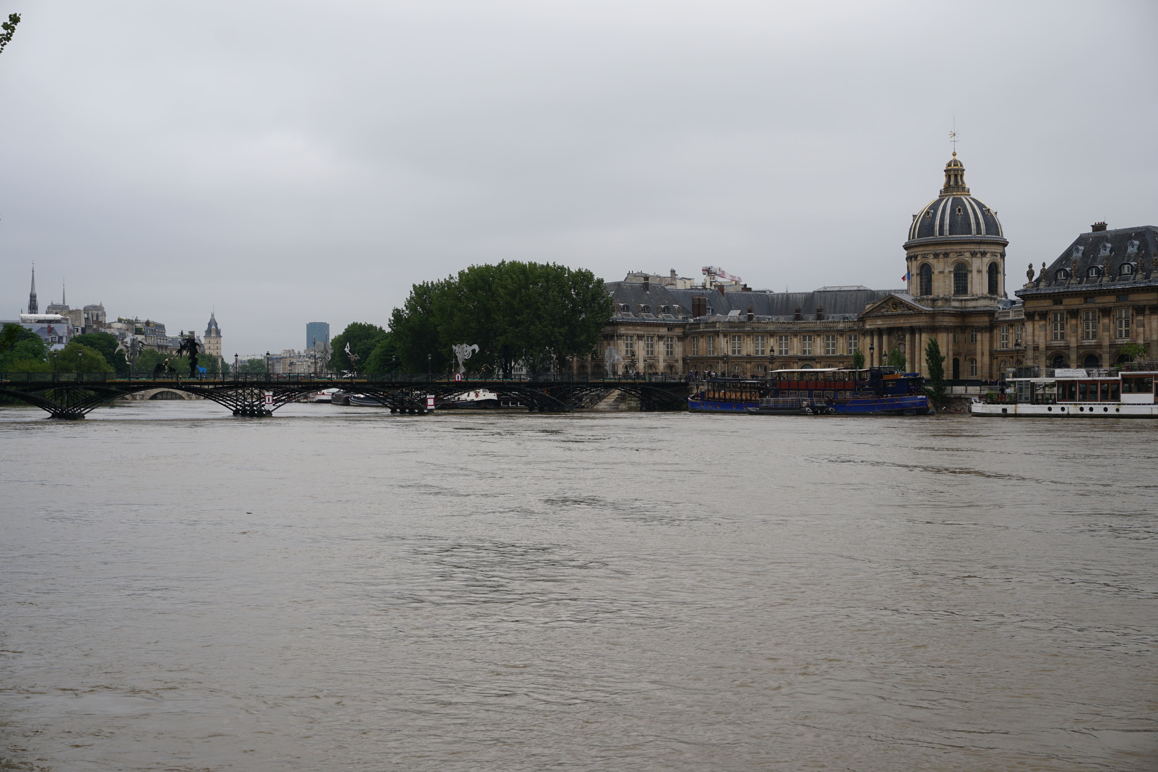 Picture France Paris Seine river 2016-06 10 - Discovery Seine river