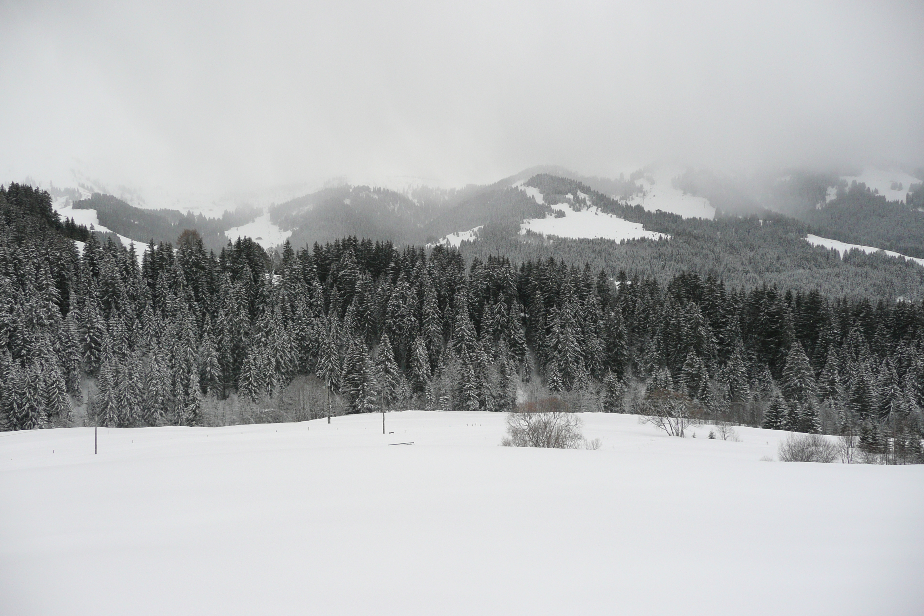 Picture France Megeve Le Planay 2010-02 53 - Recreation Le Planay