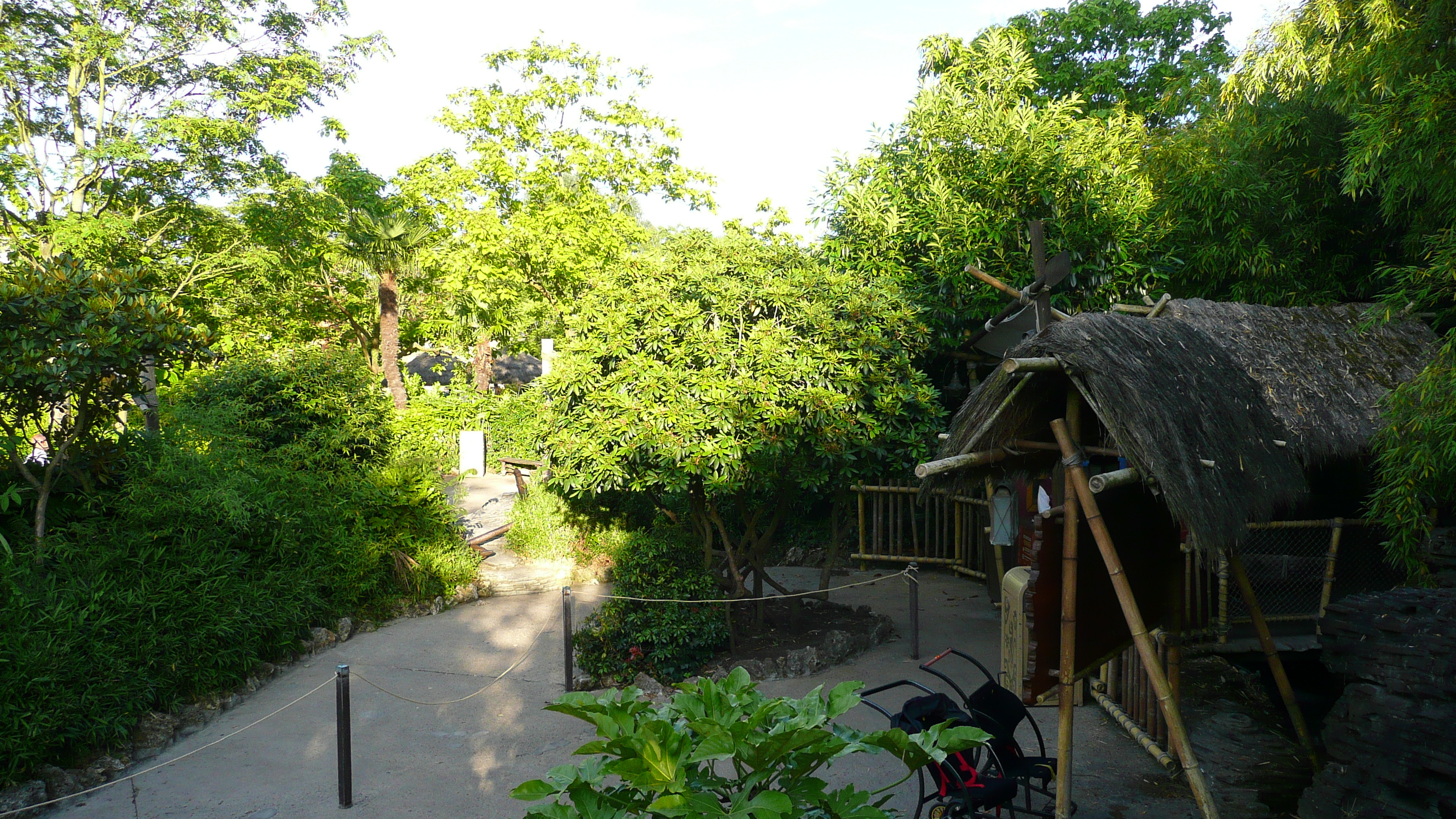 Picture France Disneyland Paris La Cabane des Robinson 2007-07 6 - Discovery La Cabane des Robinson