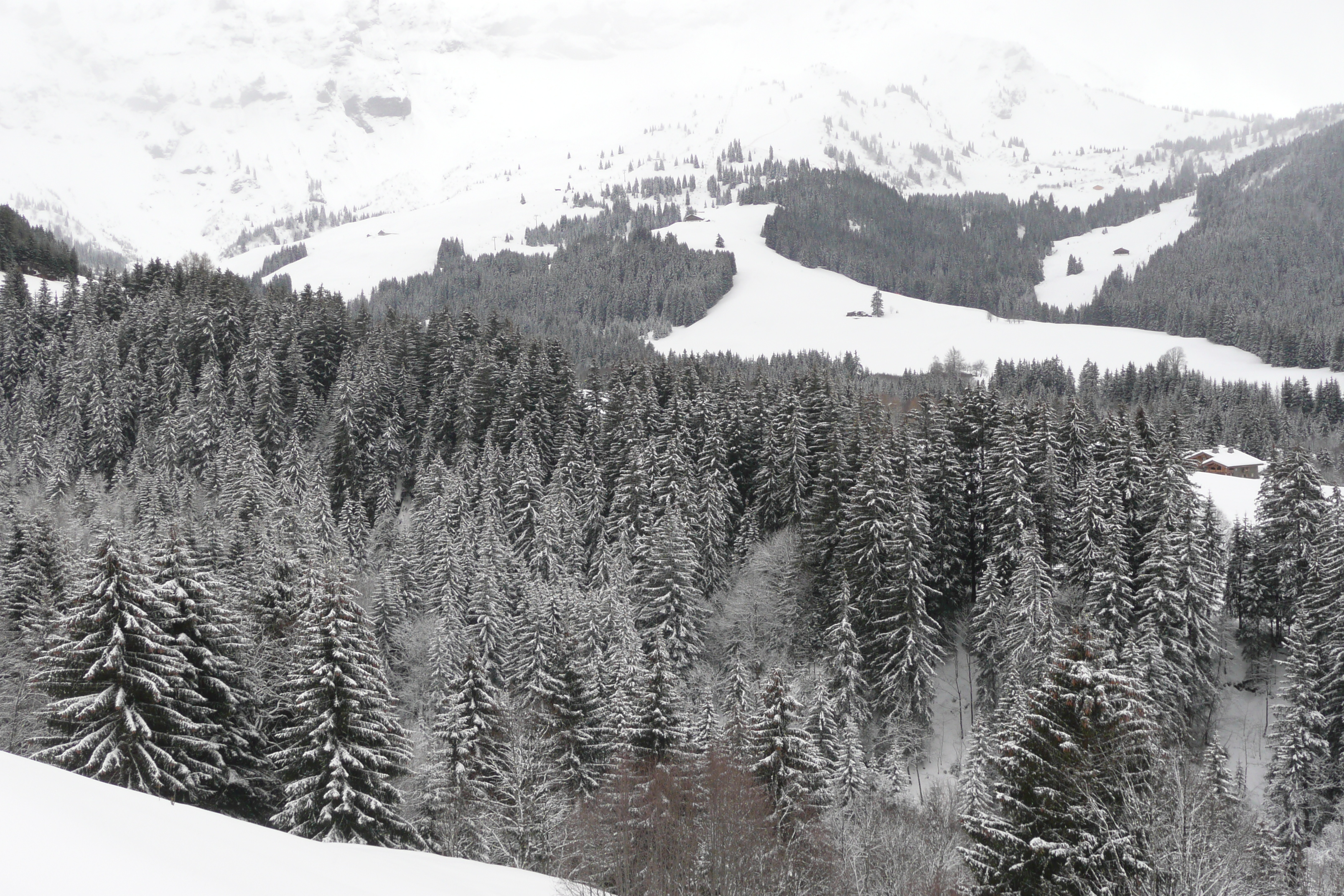 Picture France Megeve Le Planay 2010-02 29 - Journey Le Planay