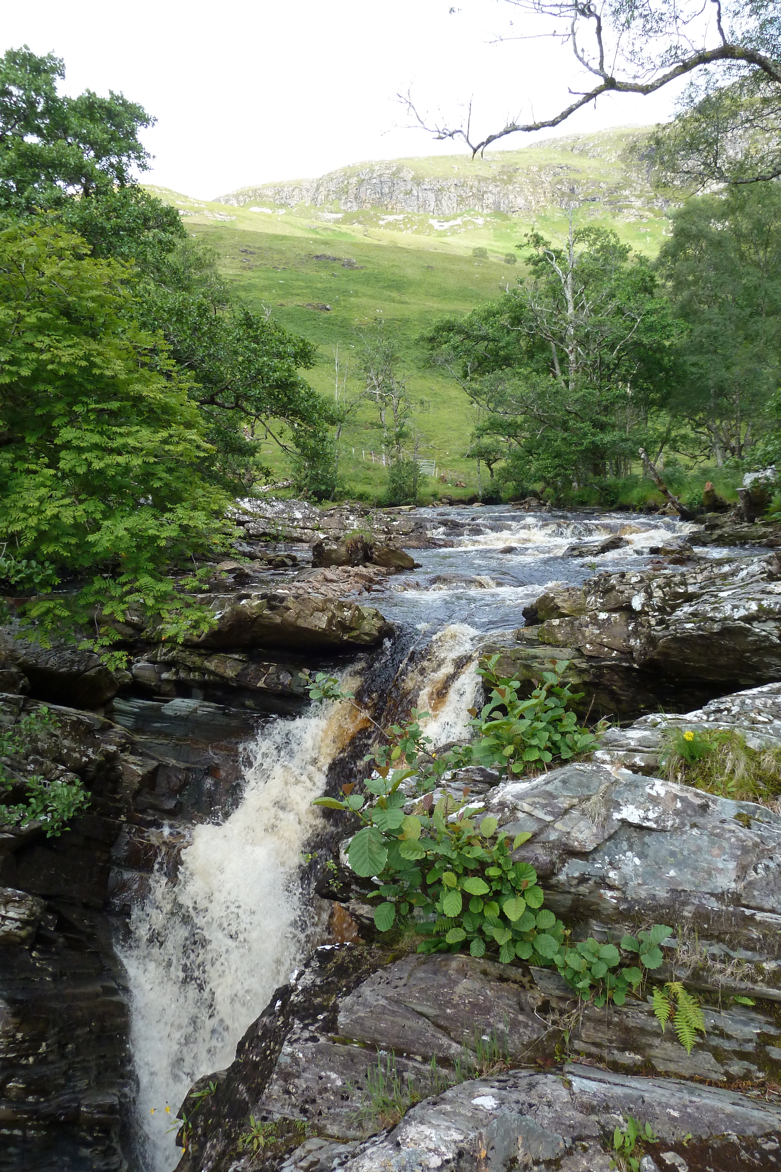 Picture United Kingdom Wester Ross 2011-07 140 - Journey Wester Ross