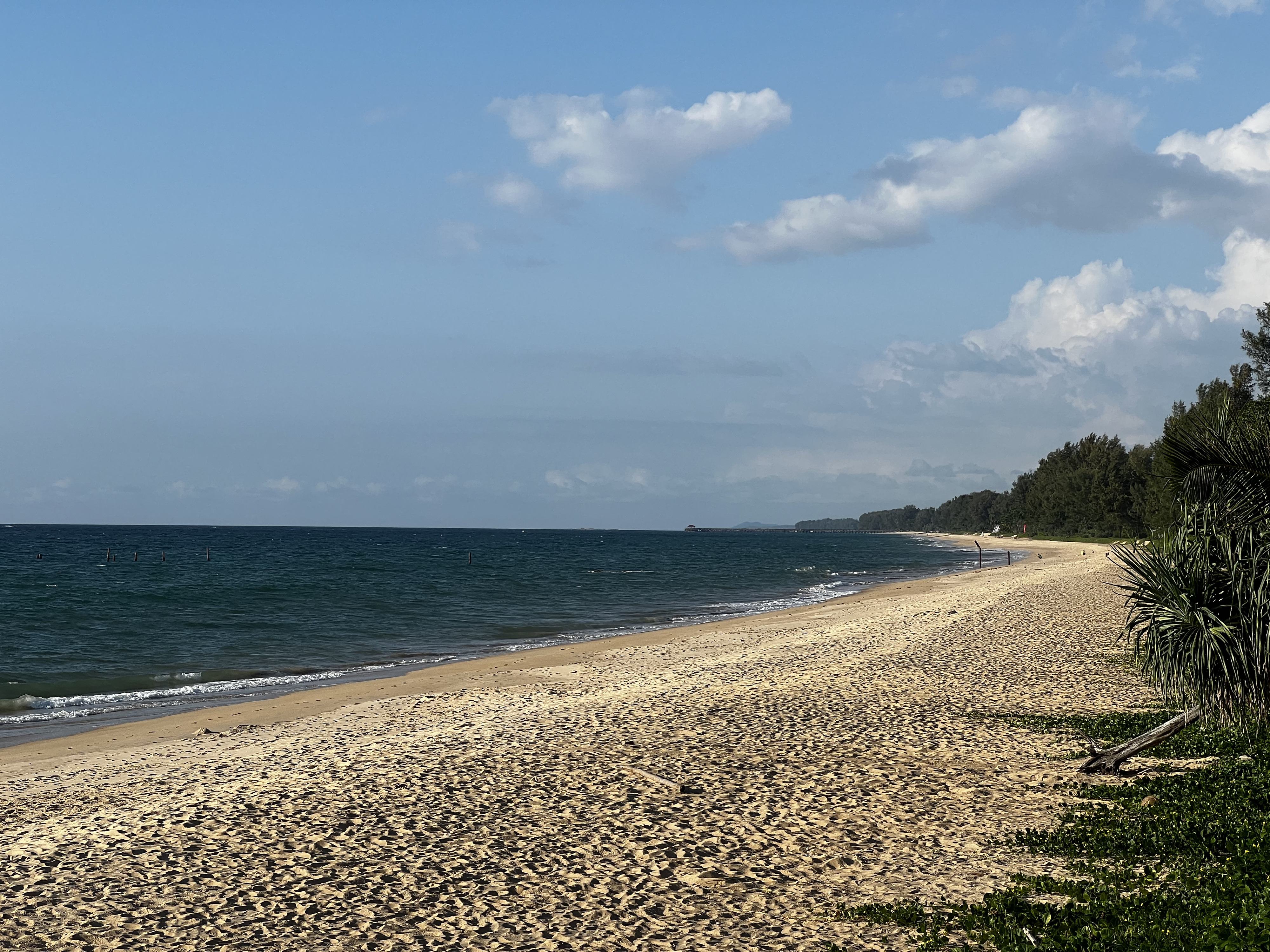 Picture Thailand Phang Nga Bay Khao Pilai Beach 2021-12 2 - Center Khao Pilai Beach