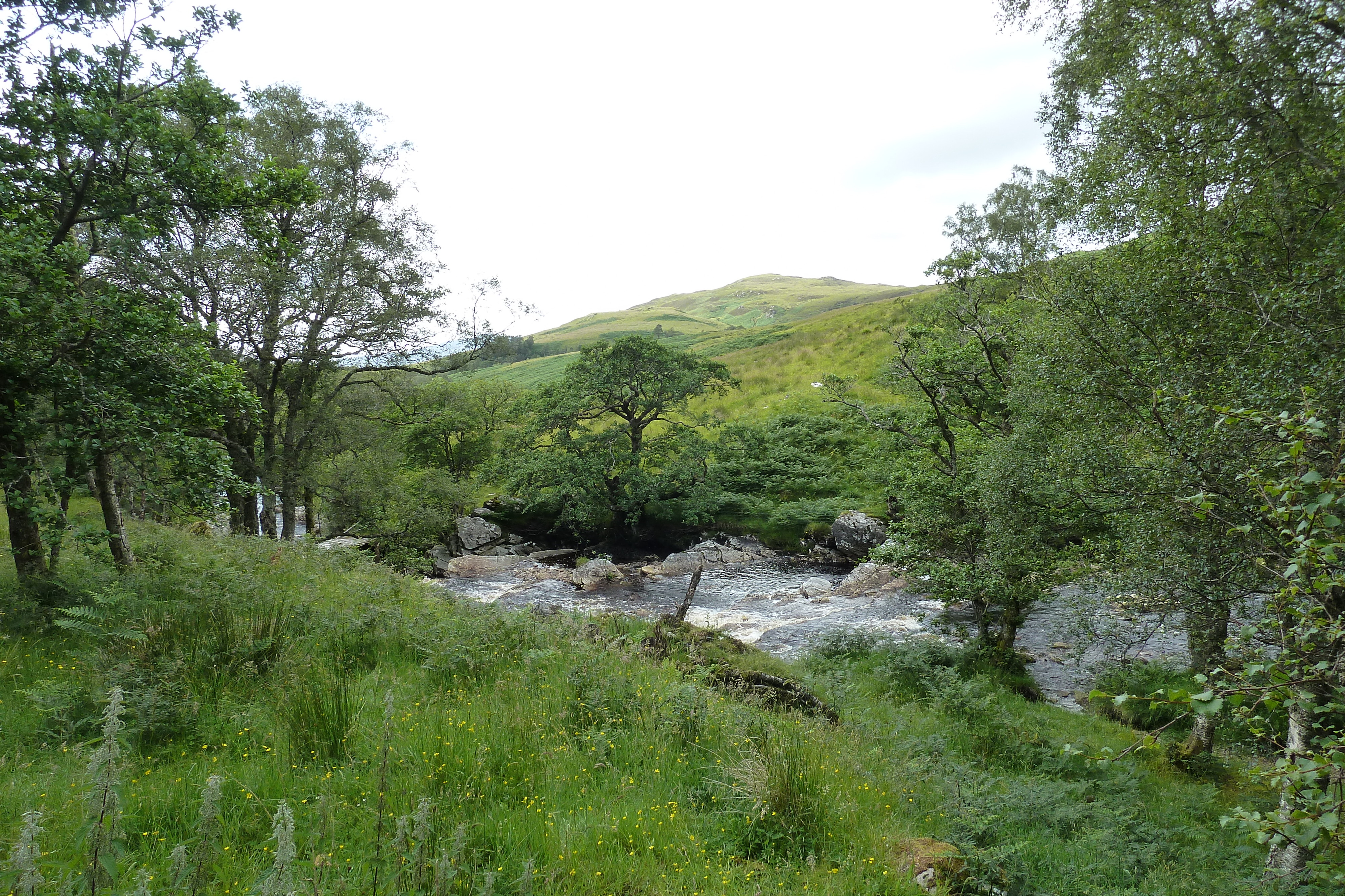 Picture United Kingdom Wester Ross 2011-07 145 - Around Wester Ross