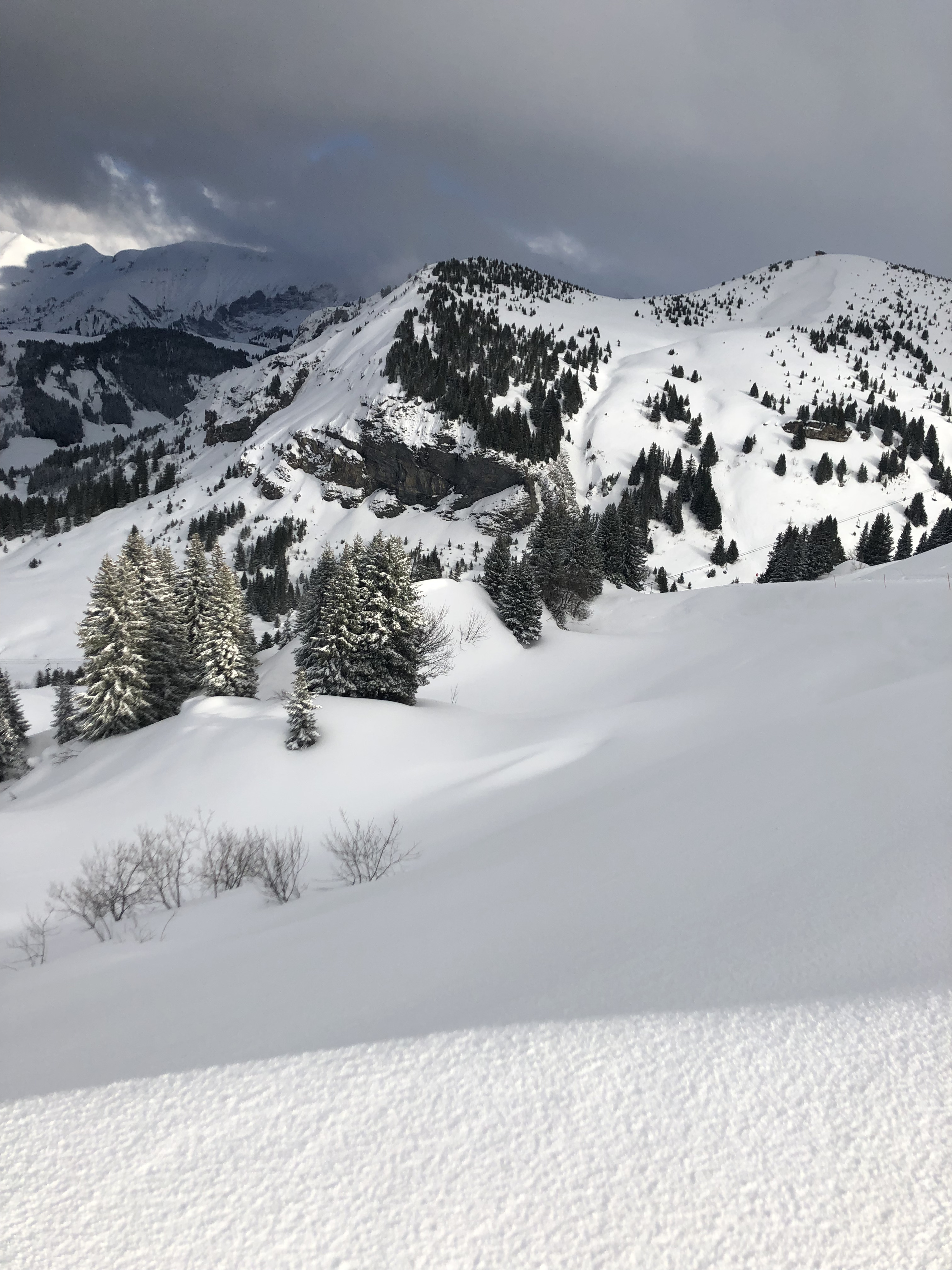 Picture France Megeve 2019-03 10 - Discovery Megeve