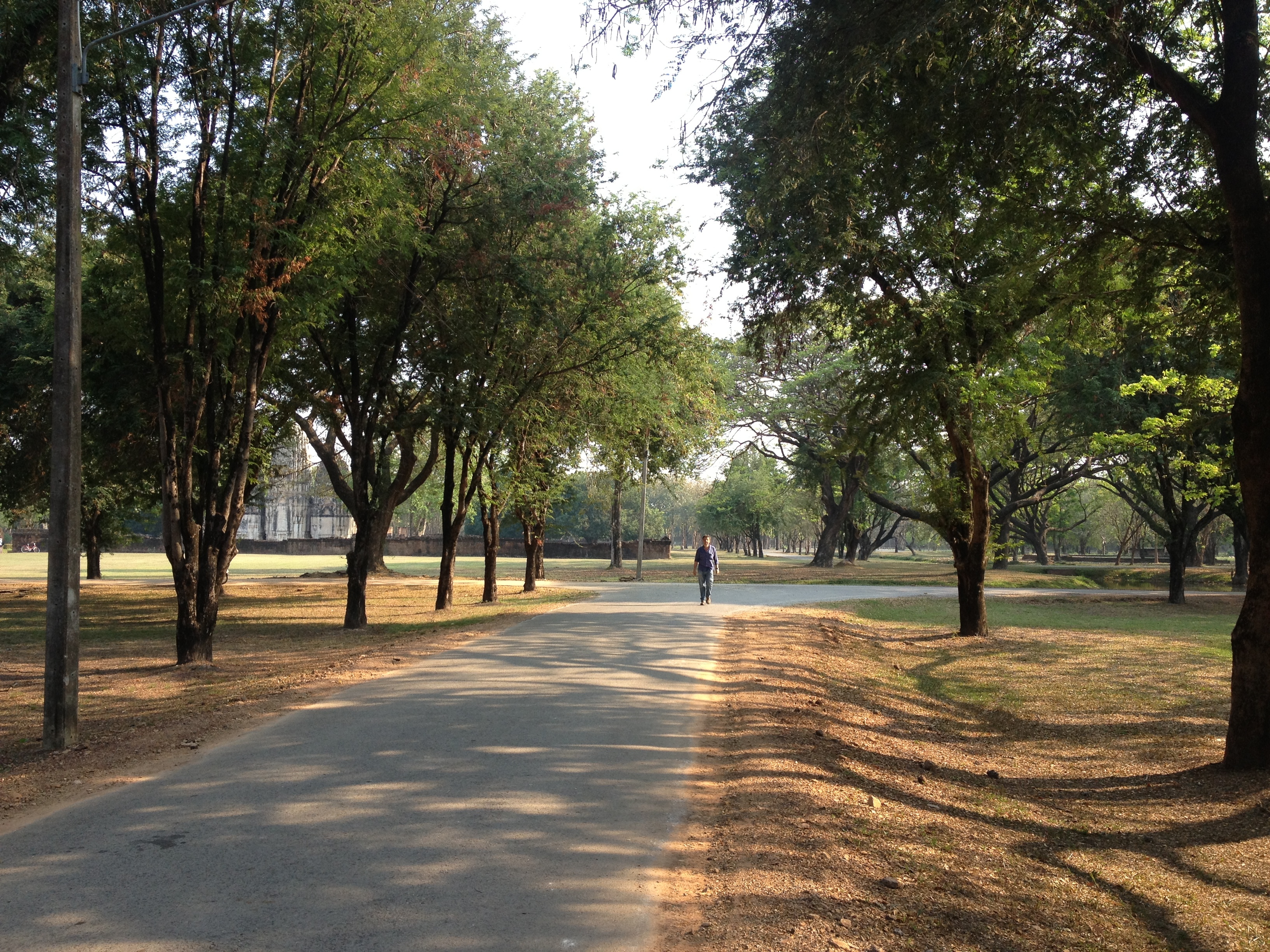 Picture Thailand Sukhothai 2014-02 49 - History Sukhothai