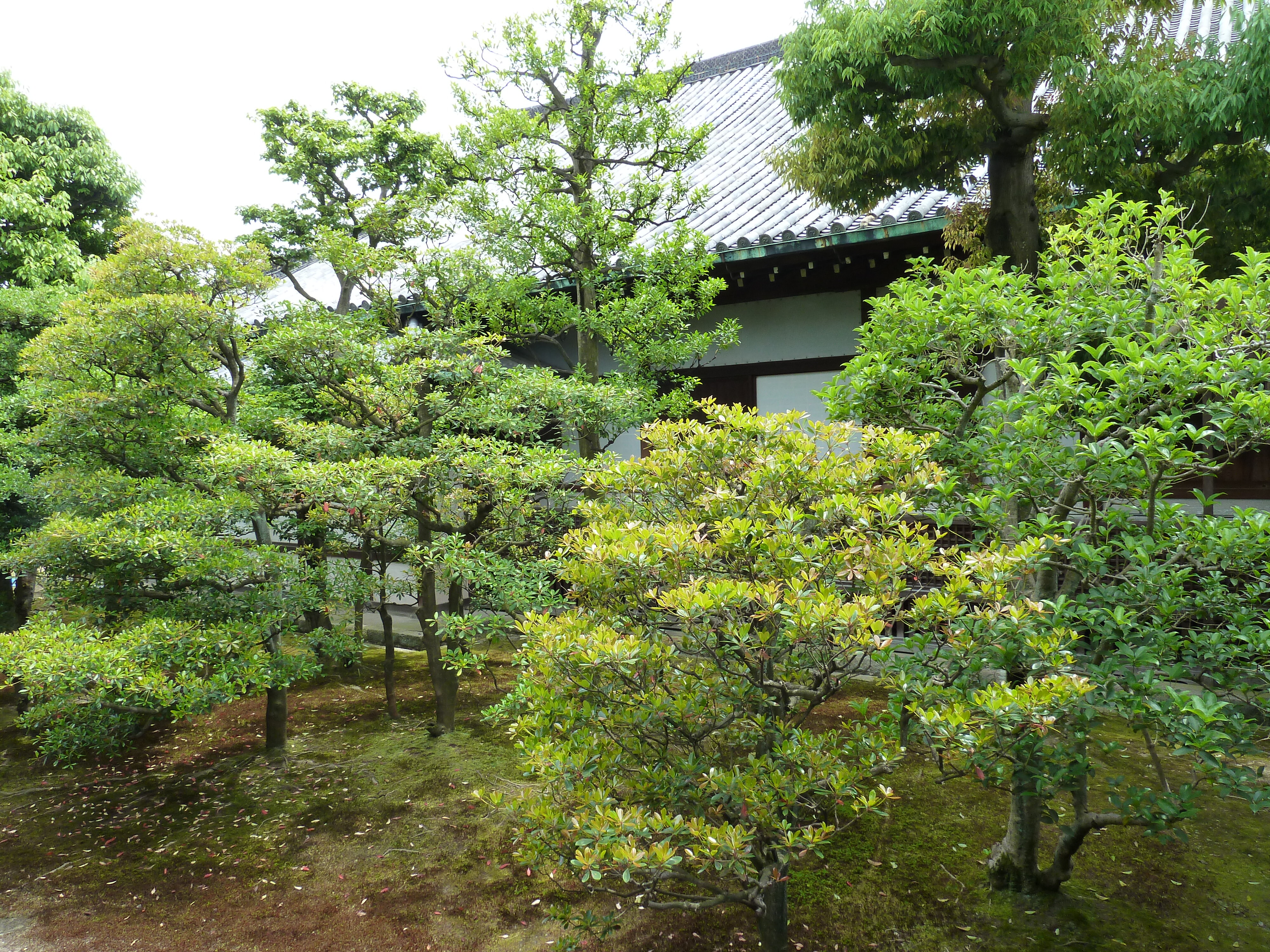 Picture Japan Kyoto Nijo Castle 2010-06 32 - Center Nijo Castle