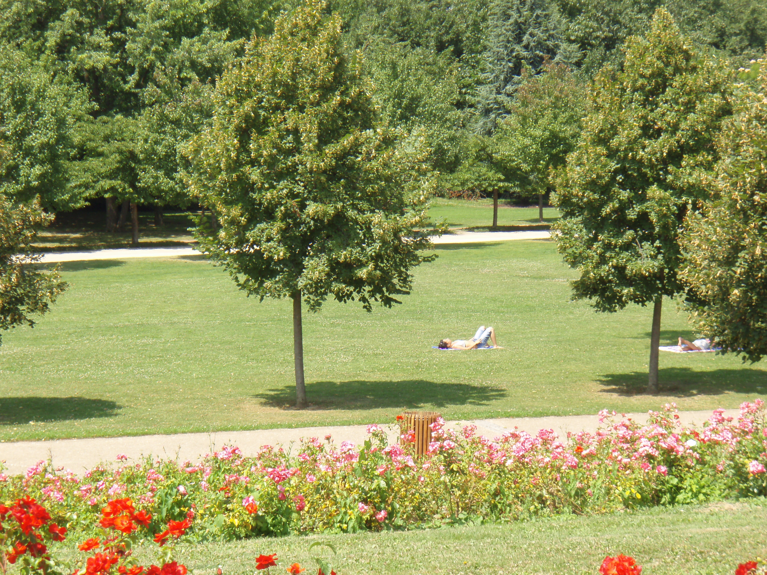 Picture France Villeneuve La Garenne Parc des Chanteraines 2007-07 0 - Recreation Parc des Chanteraines