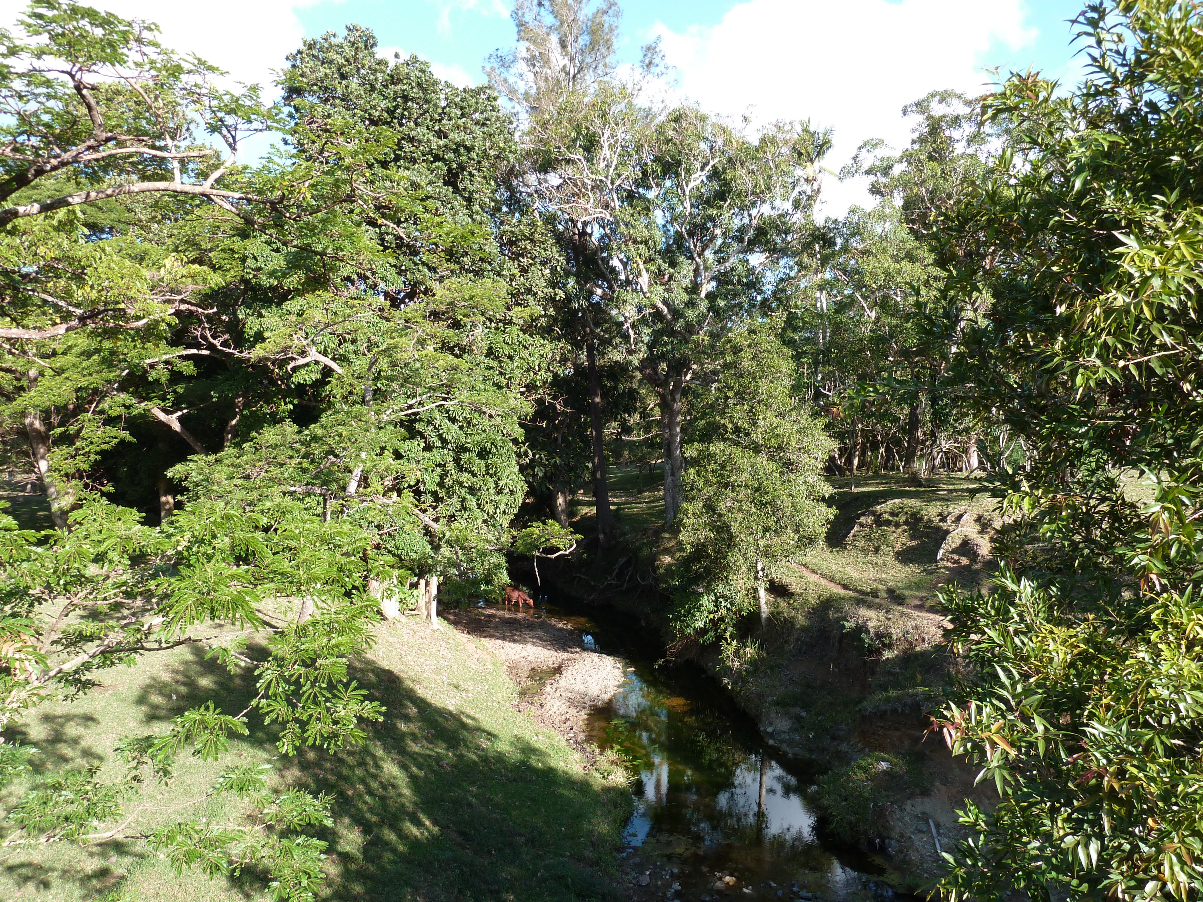 Picture New Caledonia Canala to La Foa road 2010-05 2 - Journey Canala to La Foa road