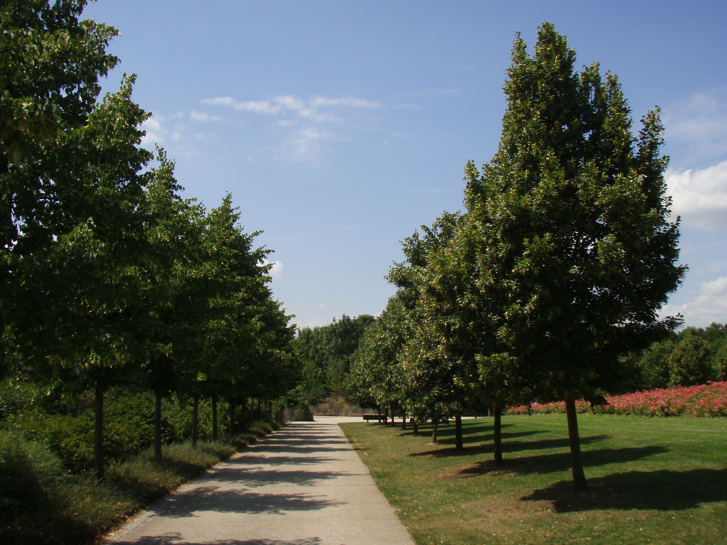 Picture France Villeneuve La Garenne Parc des Chanteraines 2007-07 15 - Discovery Parc des Chanteraines