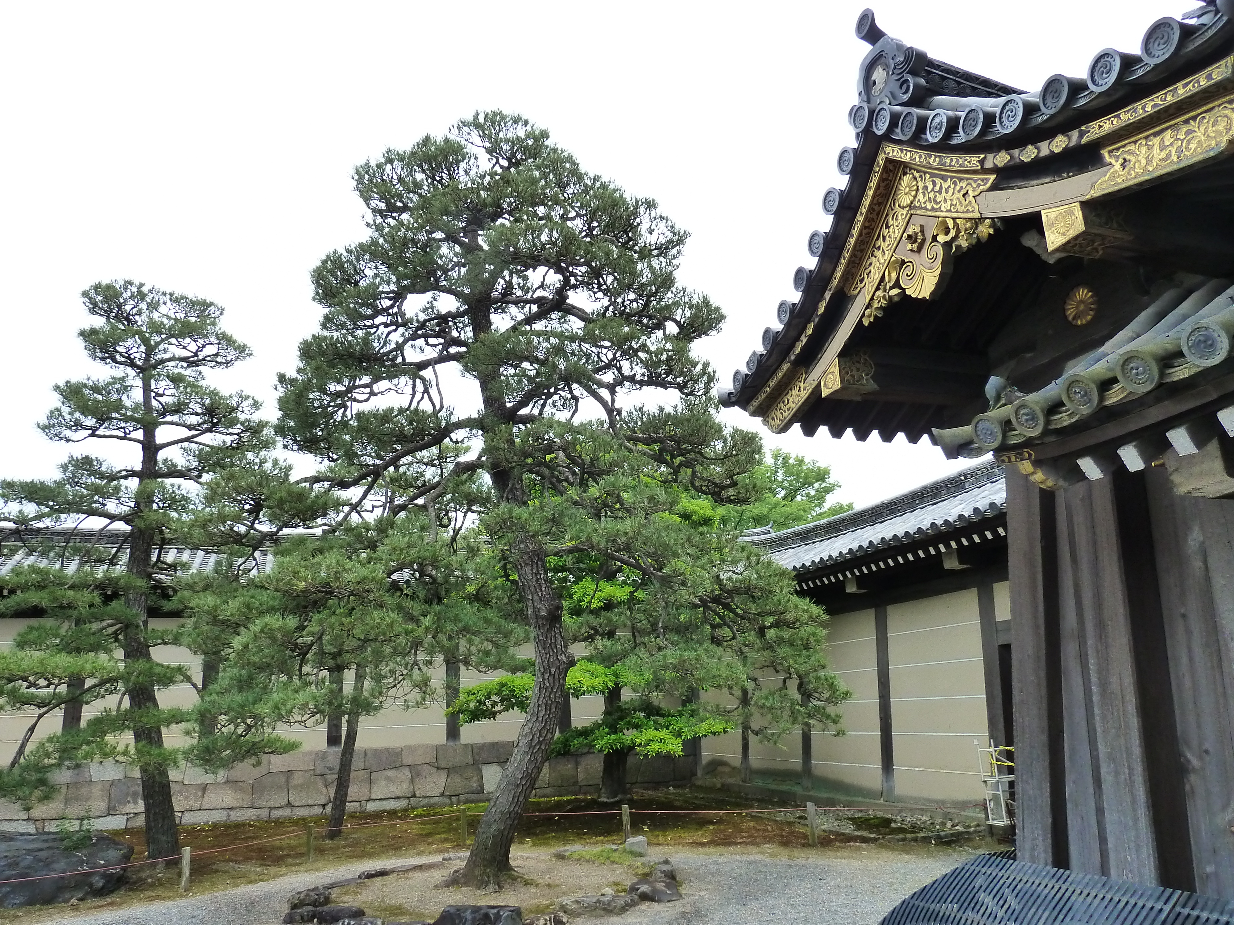 Picture Japan Kyoto Nijo Castle 2010-06 16 - Journey Nijo Castle