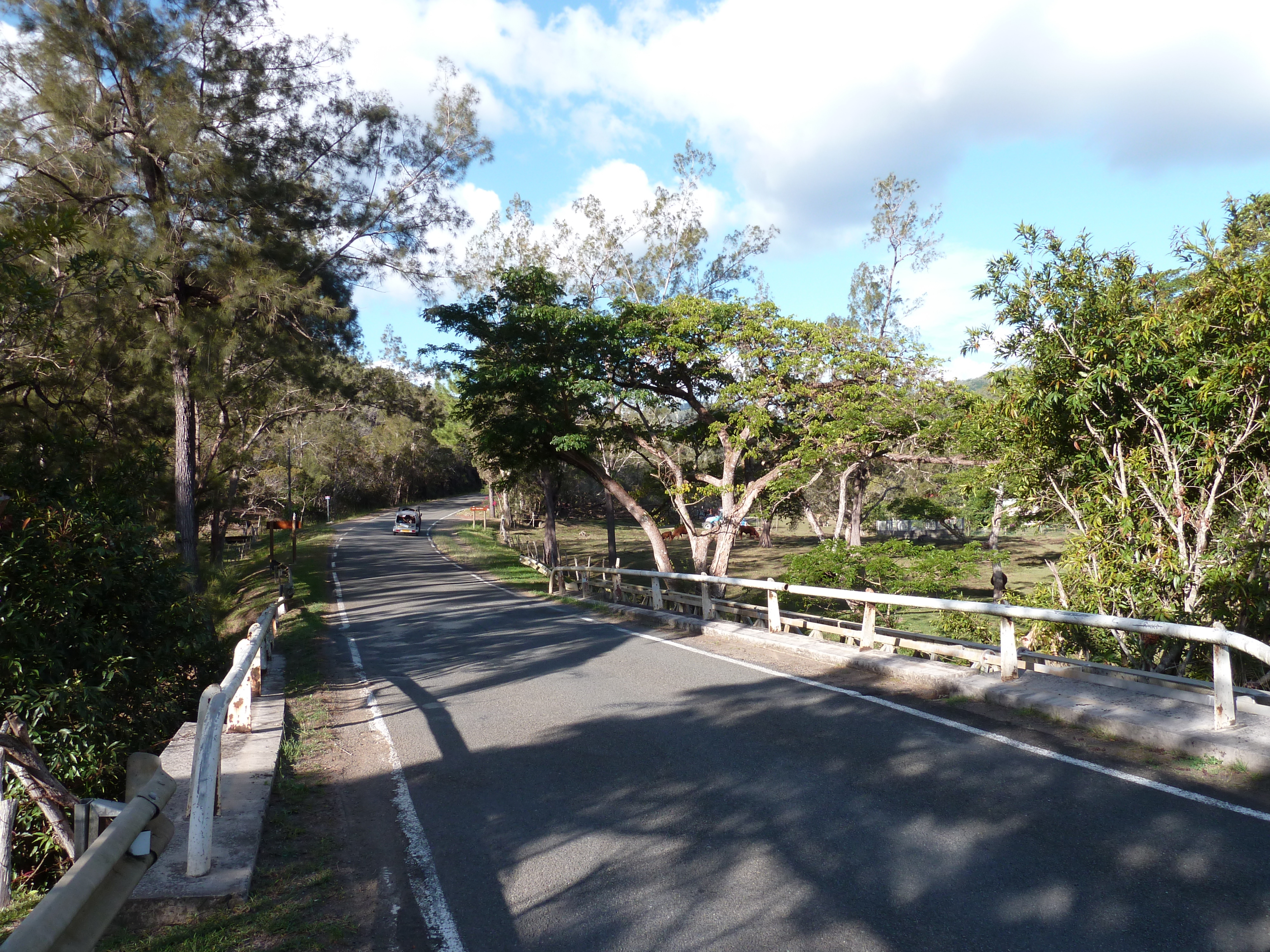 Picture New Caledonia Canala to La Foa road 2010-05 61 - Center Canala to La Foa road