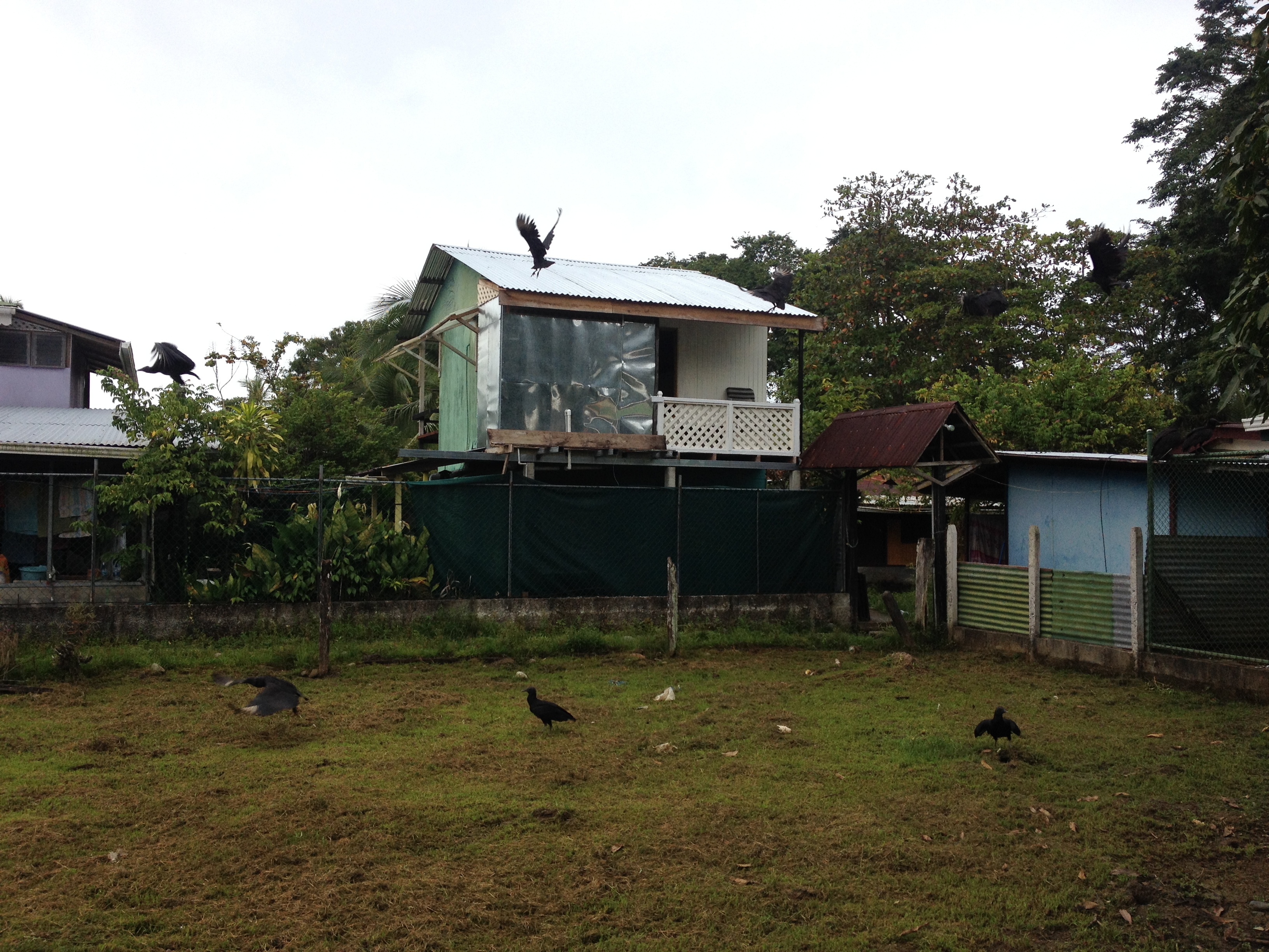 Picture Costa Rica Puerto Viejo de Talamanca 2015-03 38 - Discovery Puerto Viejo de Talamanca