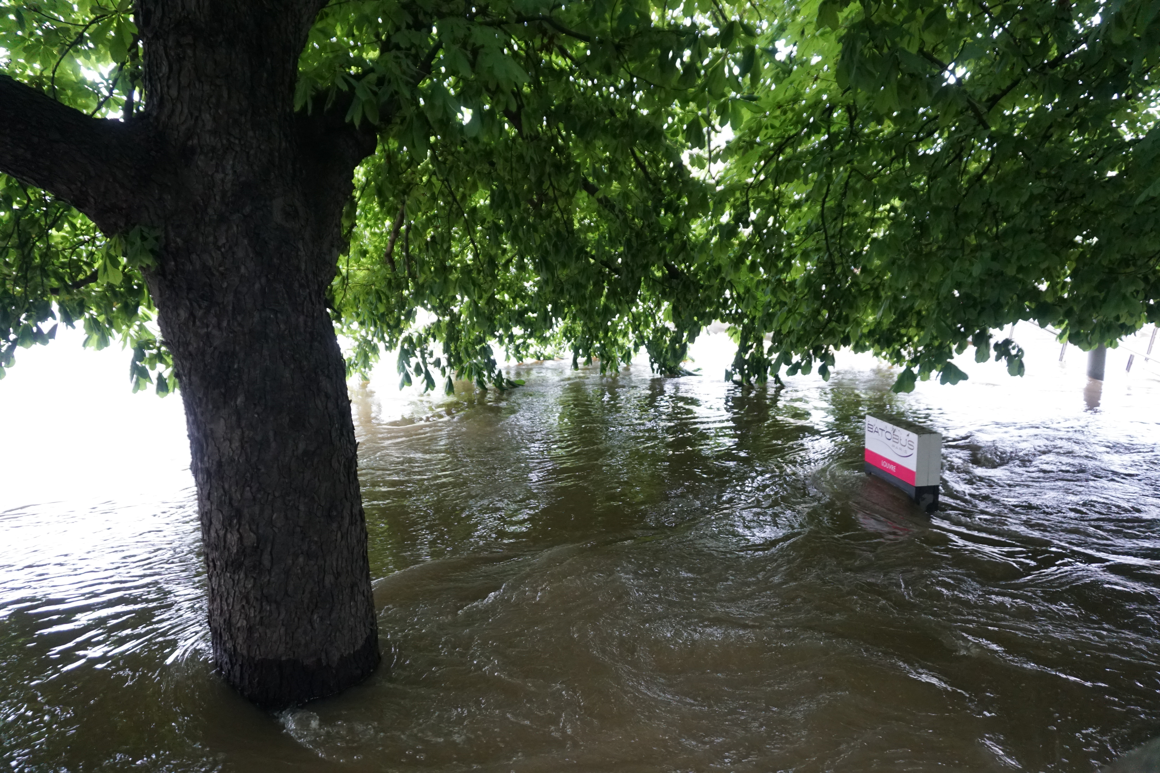 Picture France Paris Seine river 2016-06 32 - Tour Seine river