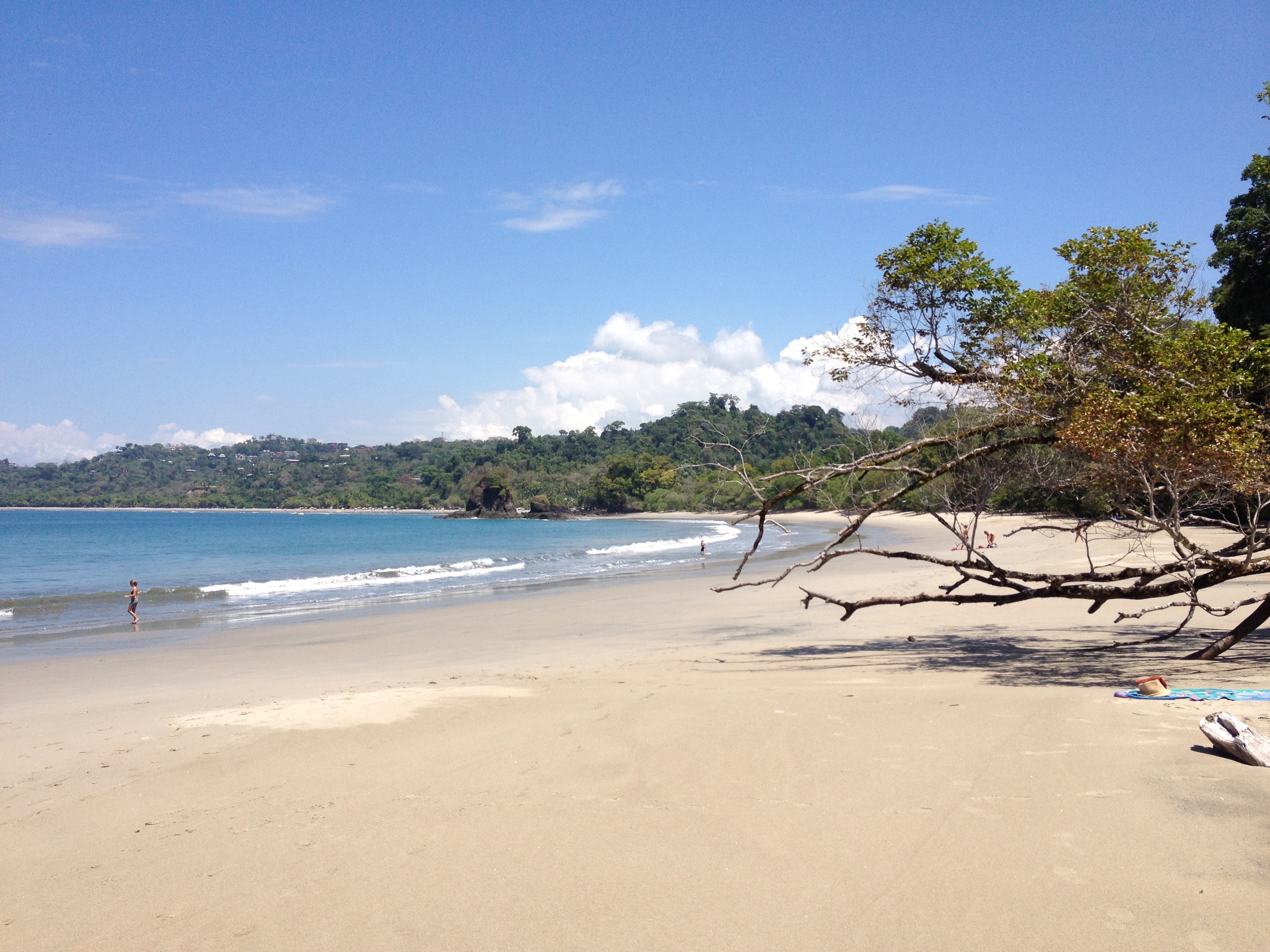 Picture Costa Rica Manuel Antonio 2015-03 280 - Center Manuel Antonio