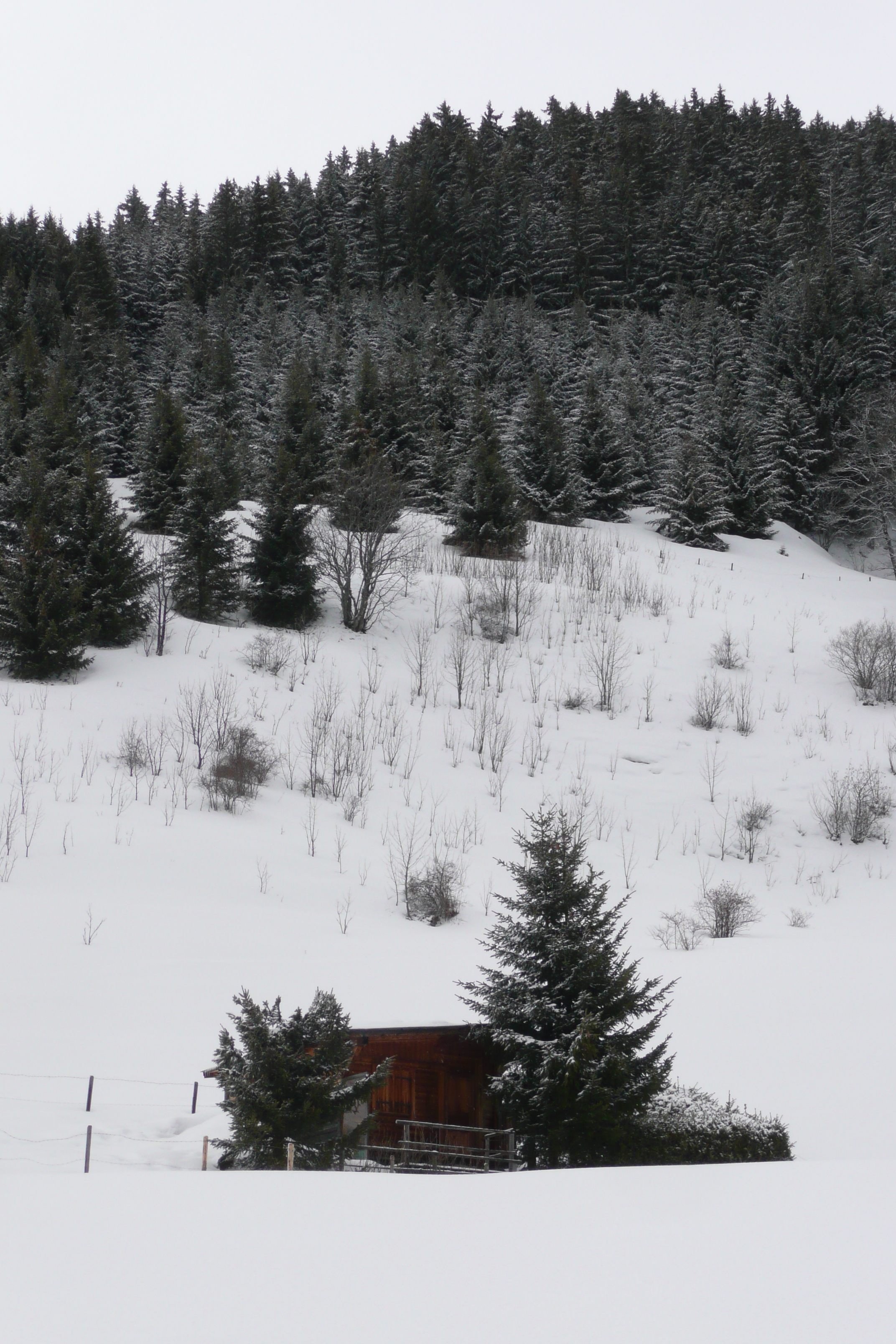 Picture France Megeve Le Planay 2010-02 48 - Center Le Planay