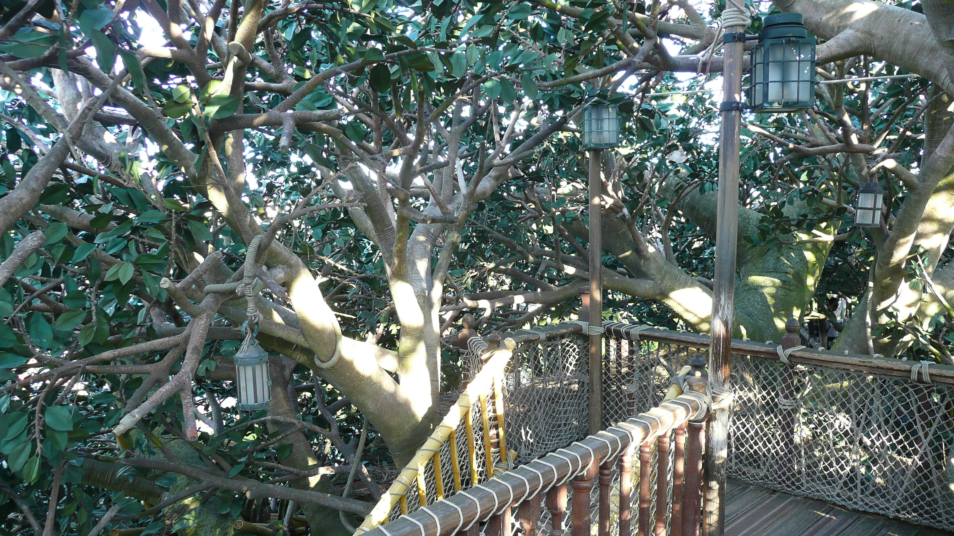 Picture France Disneyland Paris La Cabane des Robinson 2007-07 23 - Around La Cabane des Robinson