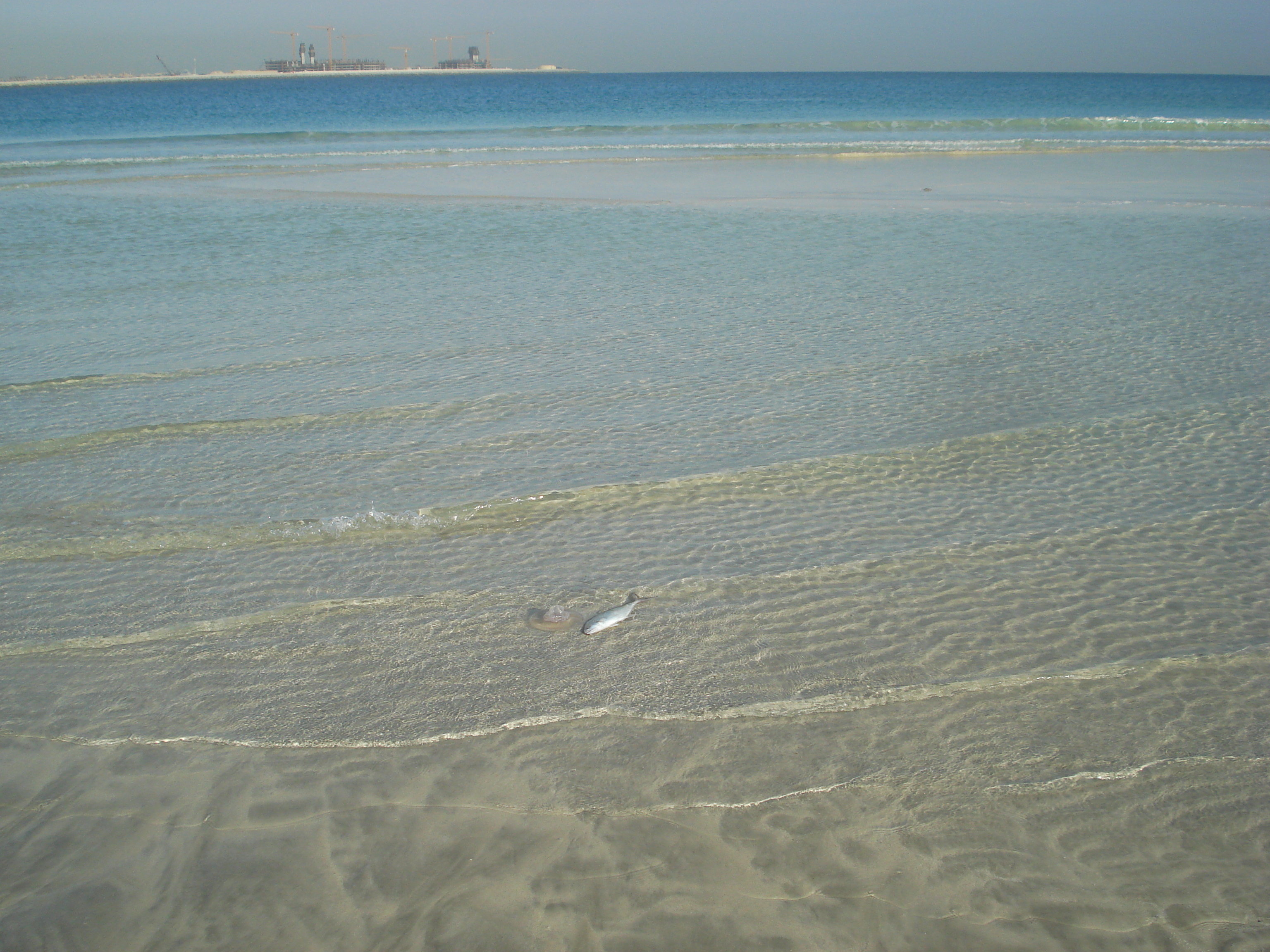 Picture United Arab Emirates Dubai Jumeirah Beach 2007-03 2 - Journey Jumeirah Beach