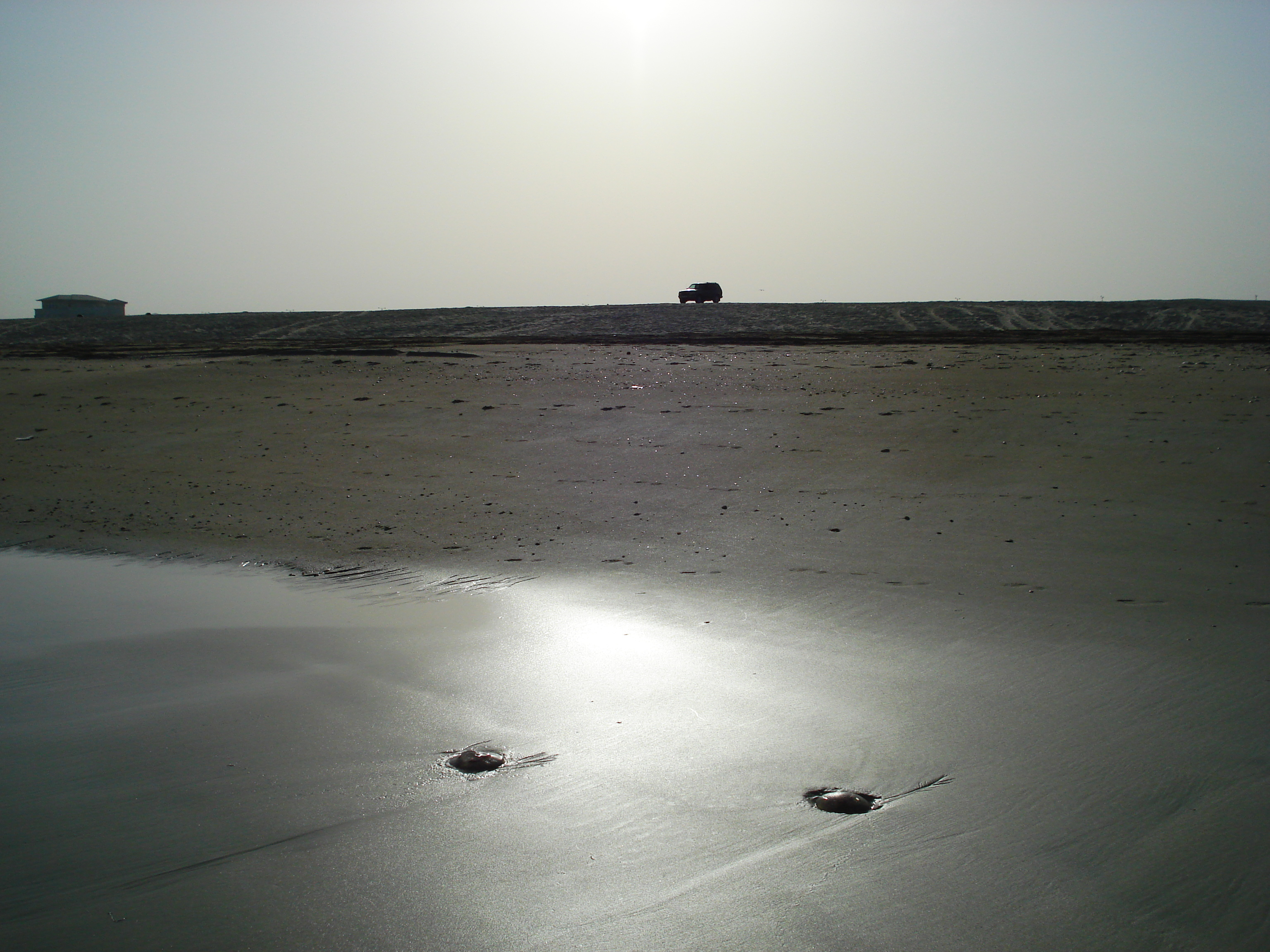 Picture United Arab Emirates Dubai Jumeirah Beach 2007-03 7 - Journey Jumeirah Beach