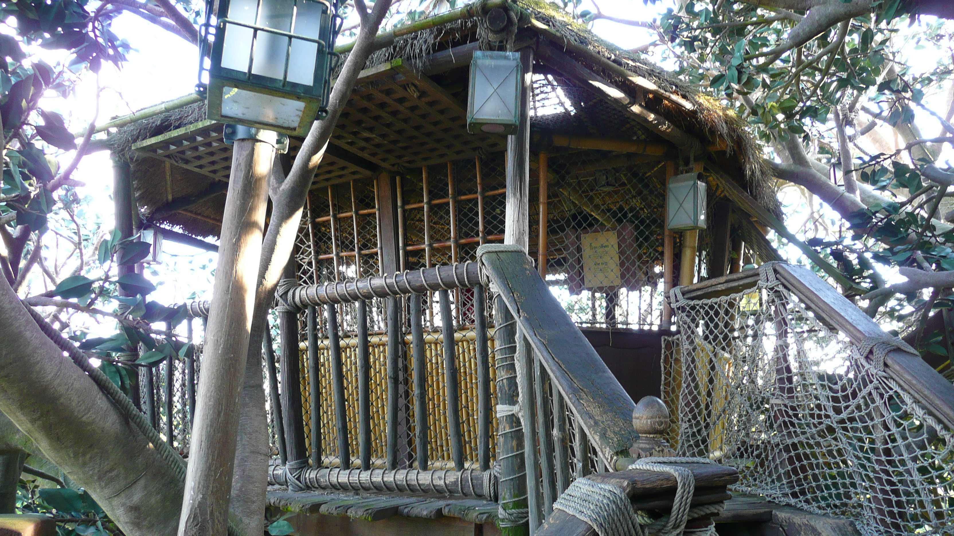 Picture France Disneyland Paris La Cabane des Robinson 2007-07 20 - Journey La Cabane des Robinson