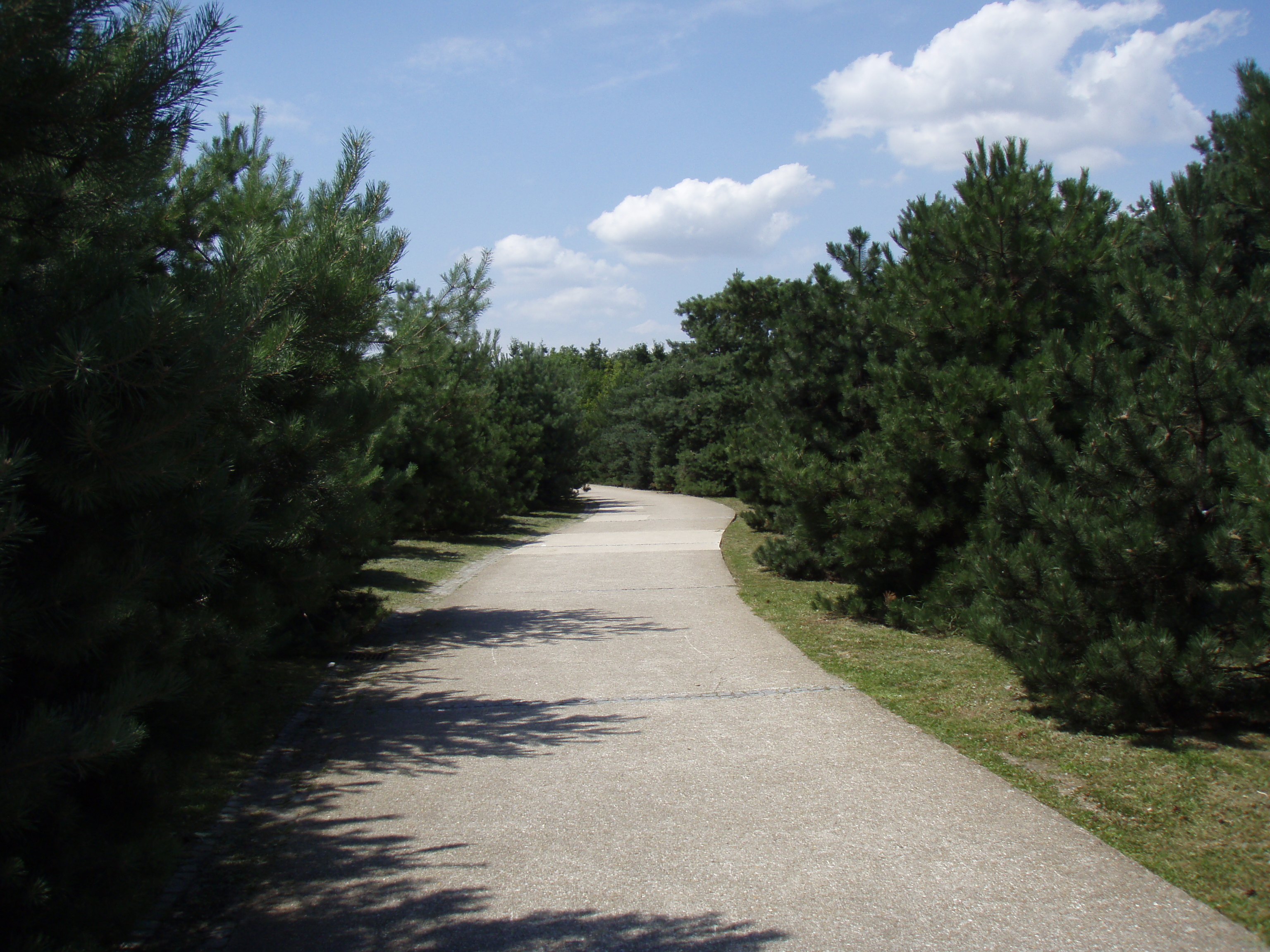 Picture France Villeneuve La Garenne Parc des Chanteraines 2007-07 17 - Tours Parc des Chanteraines