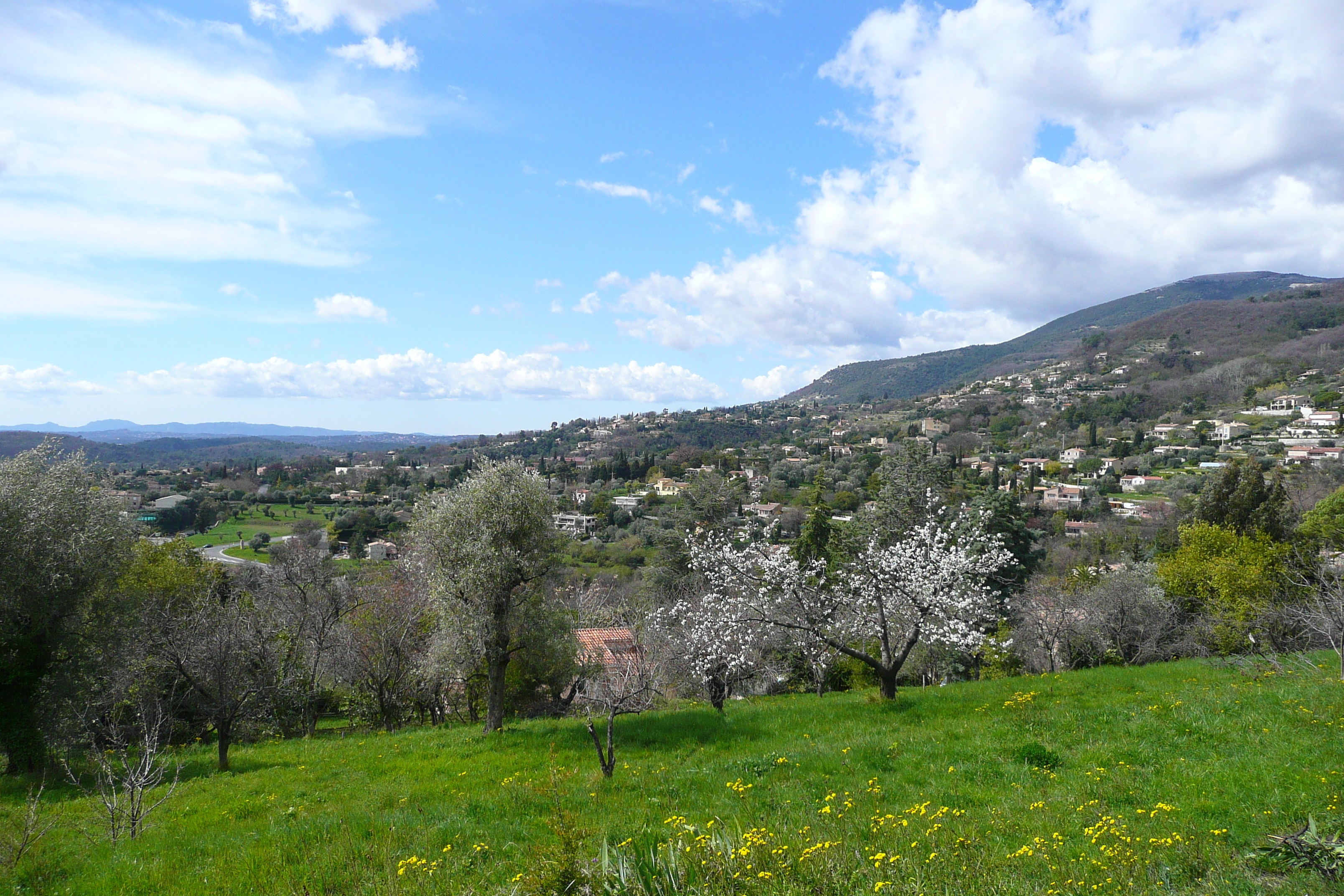 Picture France Vence Hauts de Vence 2008-03 35 - Around Hauts de Vence