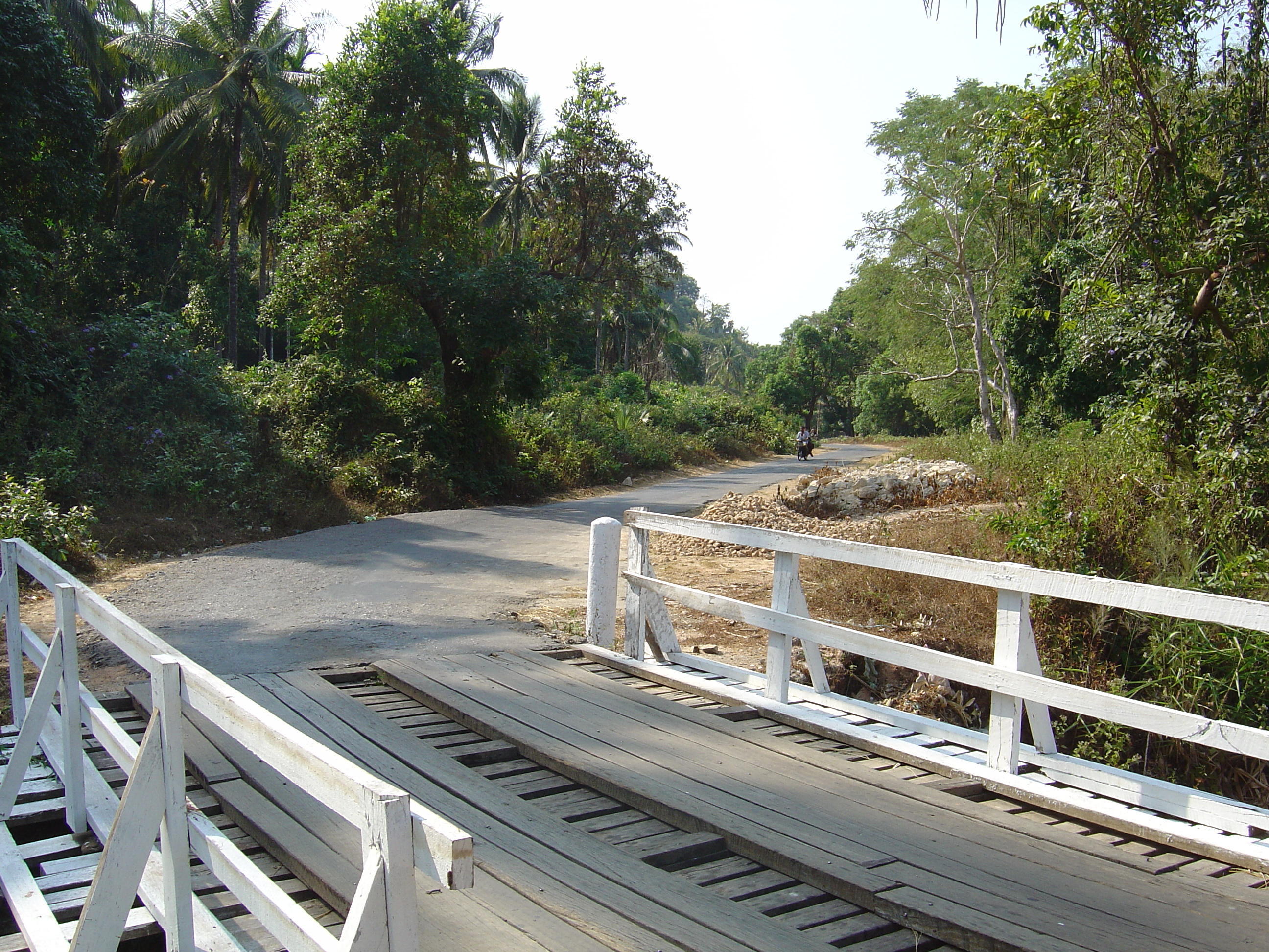 Picture Myanmar Road from Dawei to Maungmagan beach 2005-01 54 - Discovery Road from Dawei to Maungmagan beach