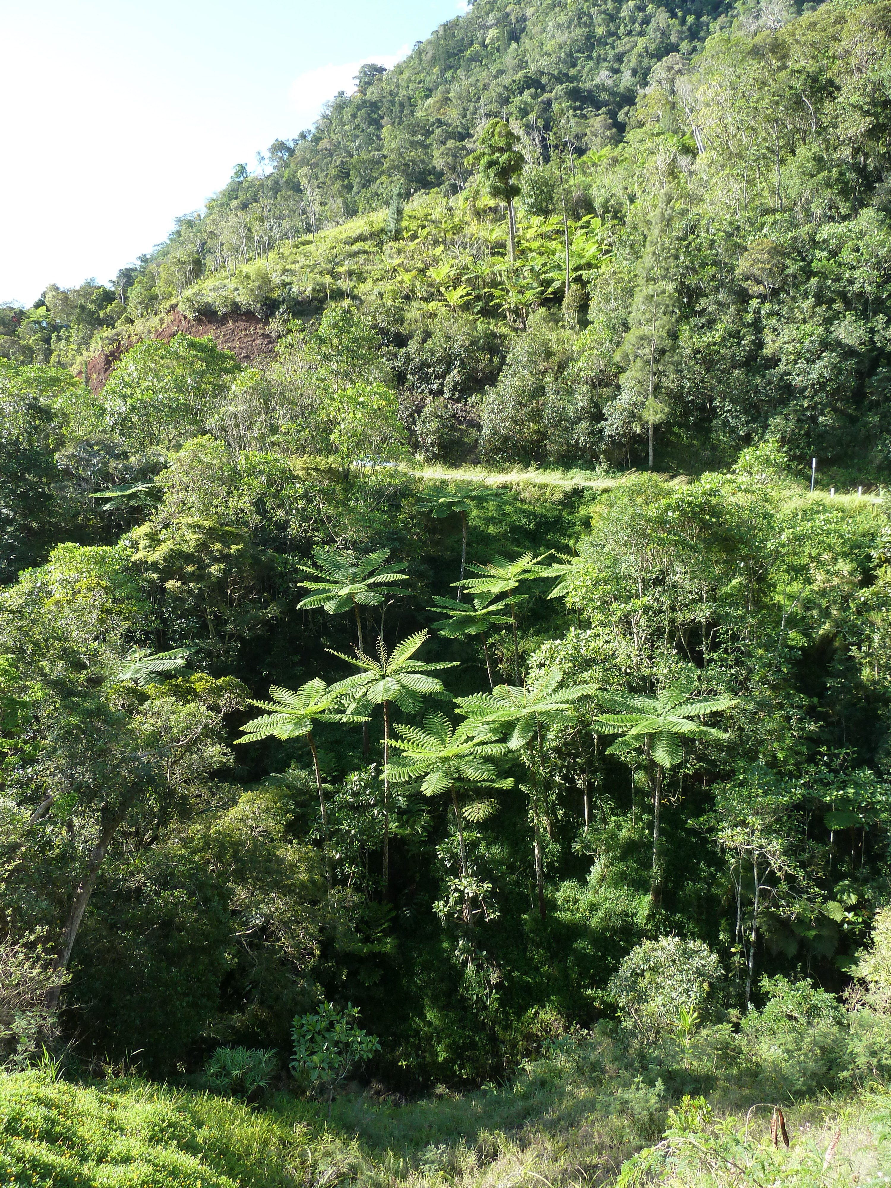 Picture New Caledonia Canala to La Foa road 2010-05 53 - Recreation Canala to La Foa road