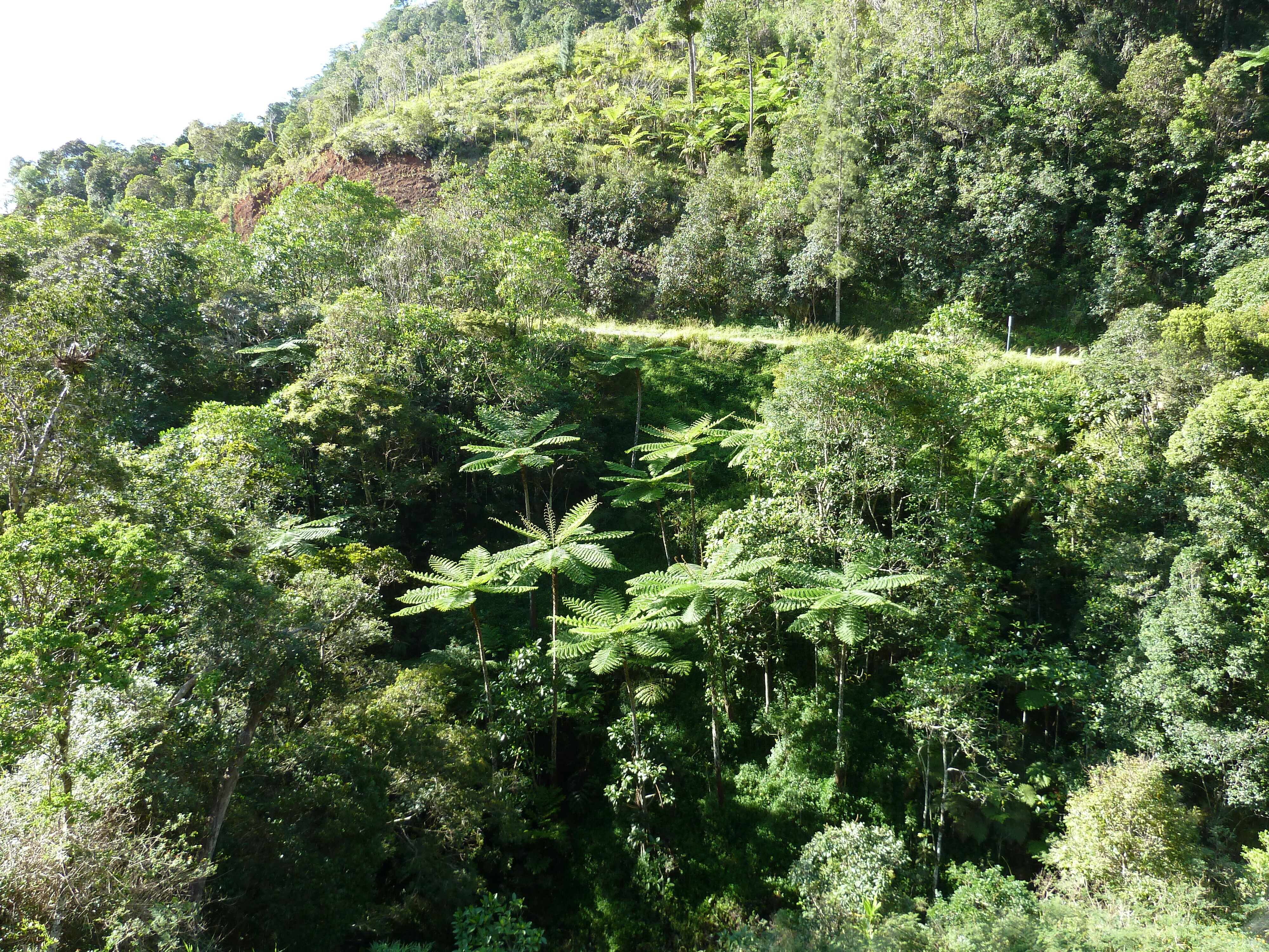 Picture New Caledonia Canala to La Foa road 2010-05 45 - Tour Canala to La Foa road