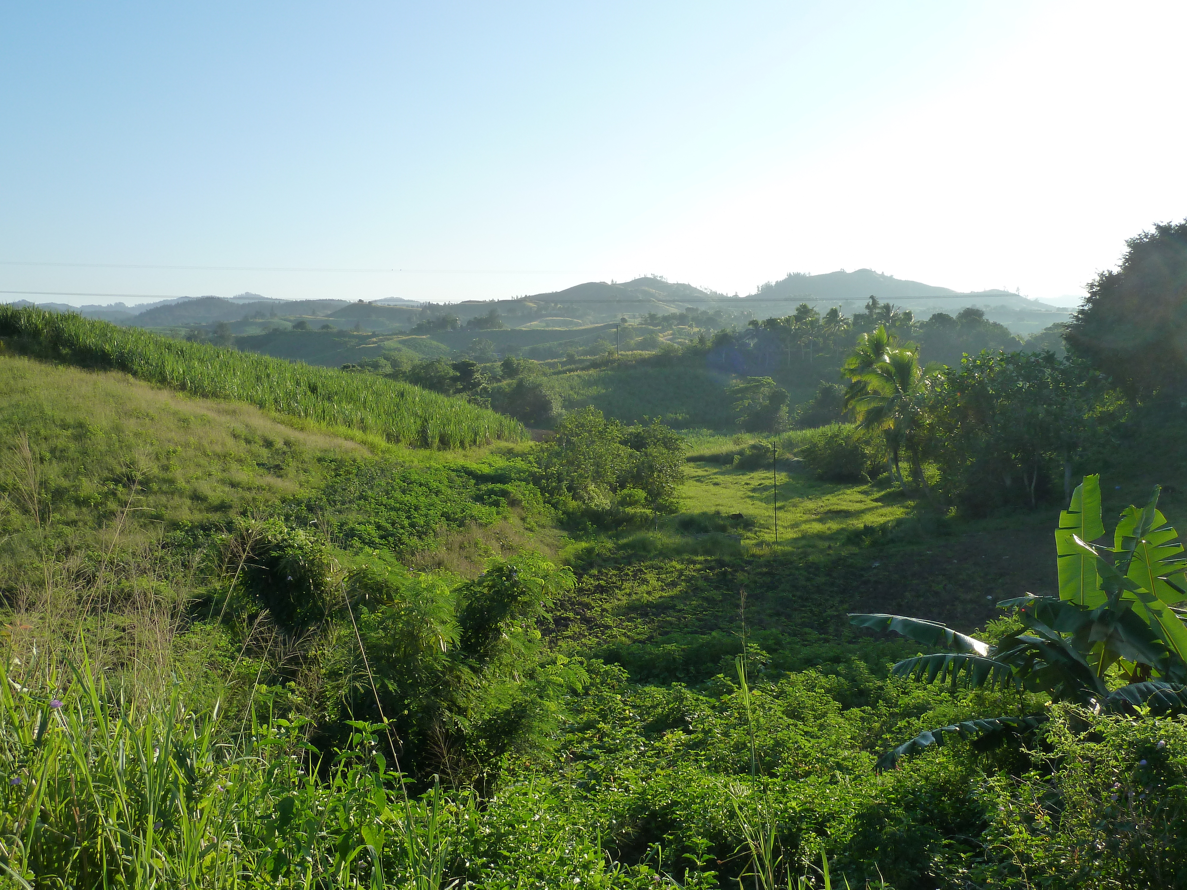 Picture Fiji Nadi to Sigatoka road 2010-05 12 - History Nadi to Sigatoka road