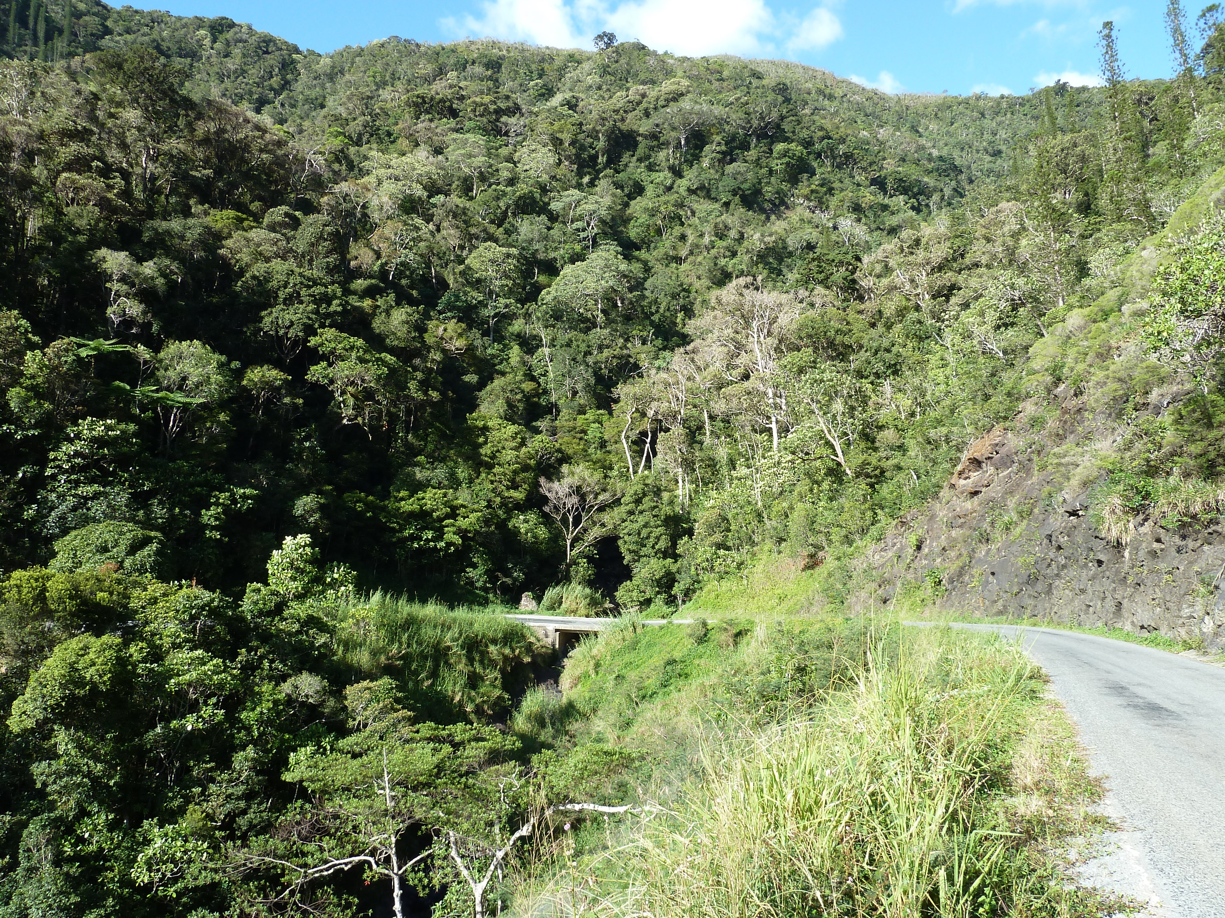 Picture New Caledonia Canala to La Foa road 2010-05 44 - Tours Canala to La Foa road