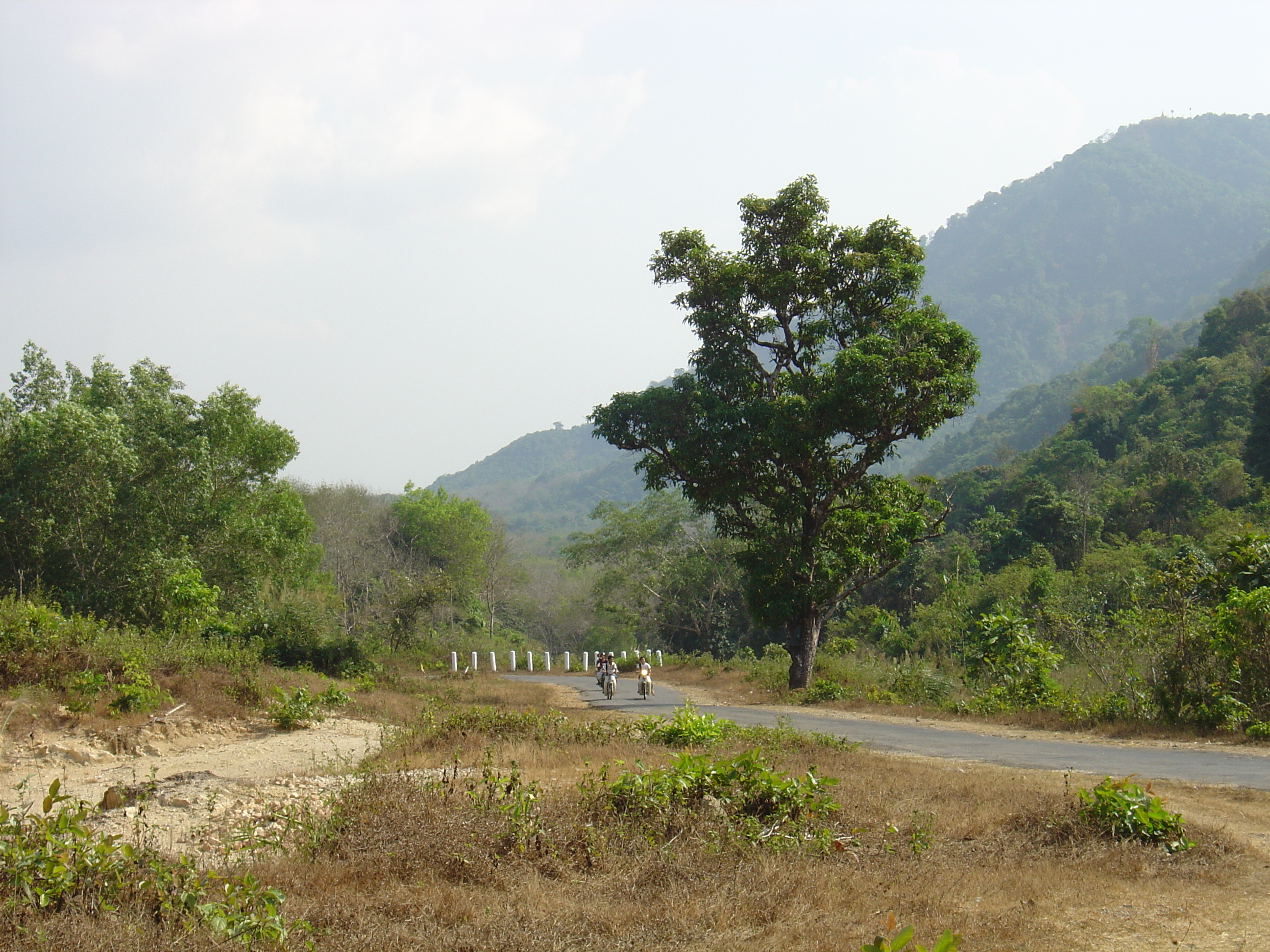 Picture Myanmar Road from Dawei to Maungmagan beach 2005-01 30 - Journey Road from Dawei to Maungmagan beach