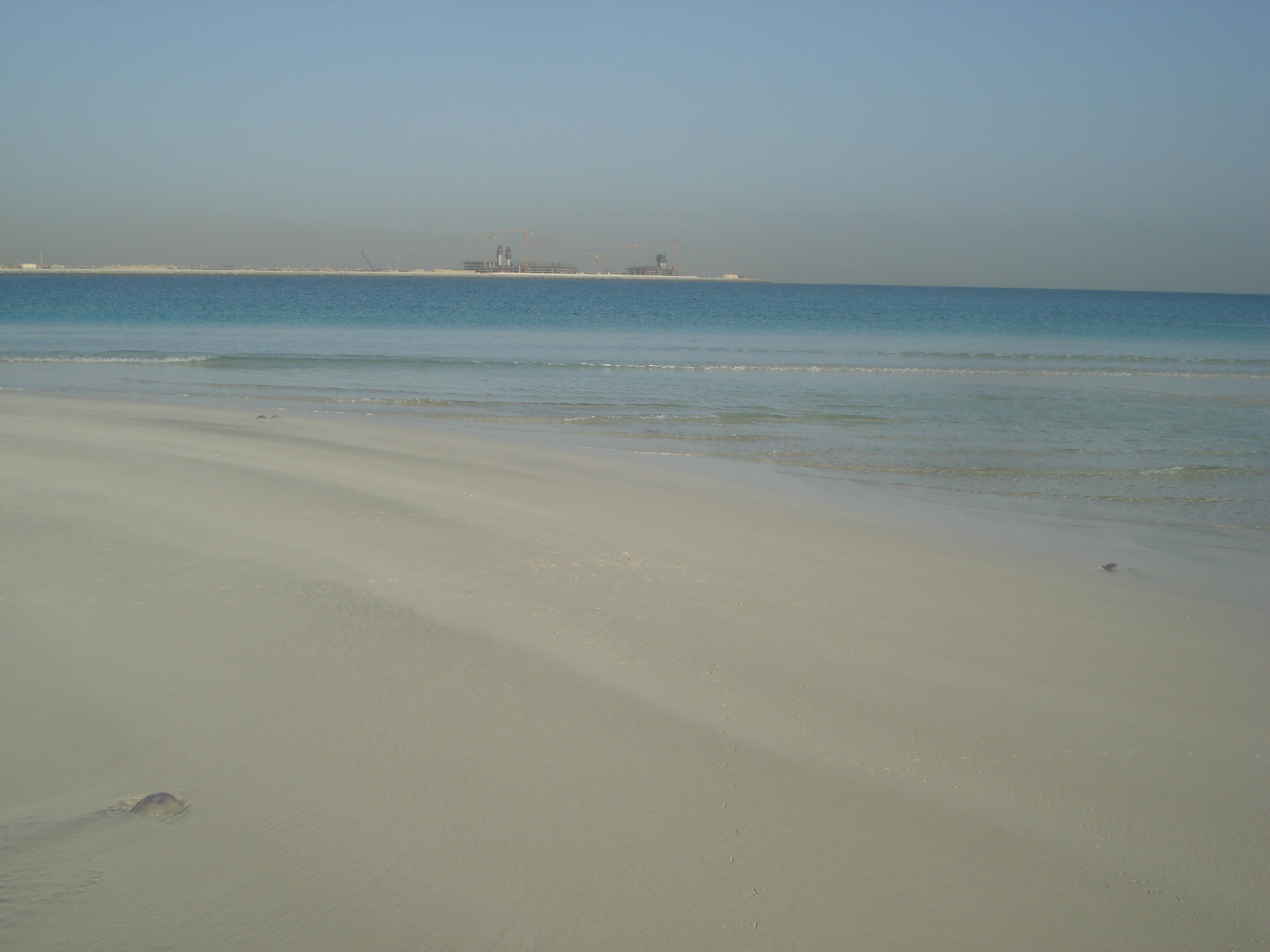 Picture United Arab Emirates Dubai Jumeirah Beach 2007-03 34 - Journey Jumeirah Beach