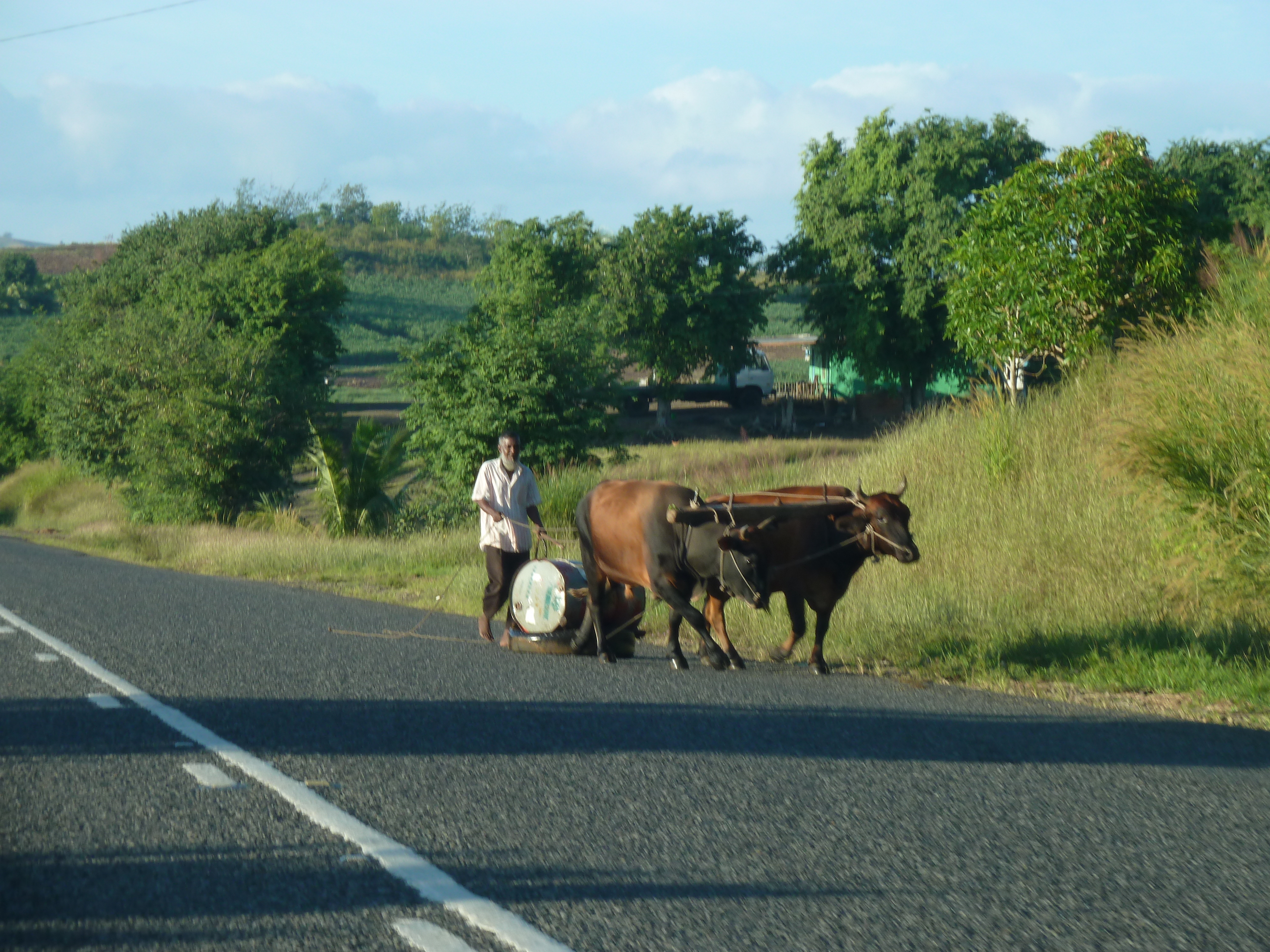 Picture Fiji Nadi to Sigatoka road 2010-05 30 - Journey Nadi to Sigatoka road