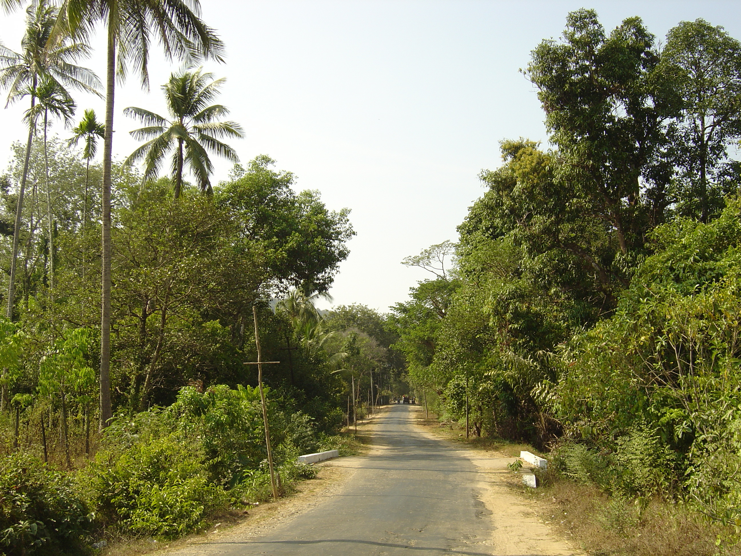 Picture Myanmar Road from Dawei to Maungmagan beach 2005-01 5 - History Road from Dawei to Maungmagan beach