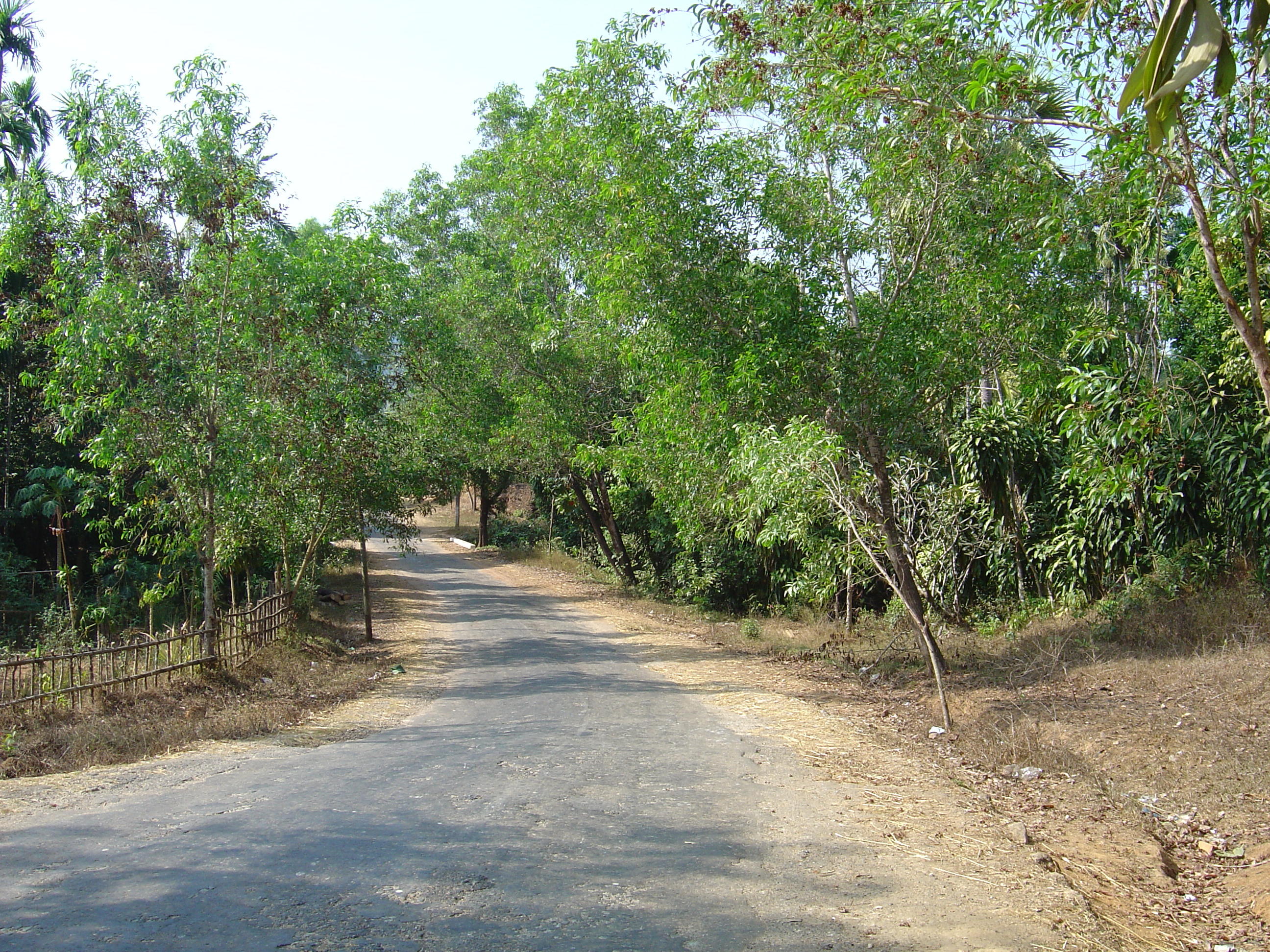 Picture Myanmar Road from Dawei to Maungmagan beach 2005-01 2 - Discovery Road from Dawei to Maungmagan beach