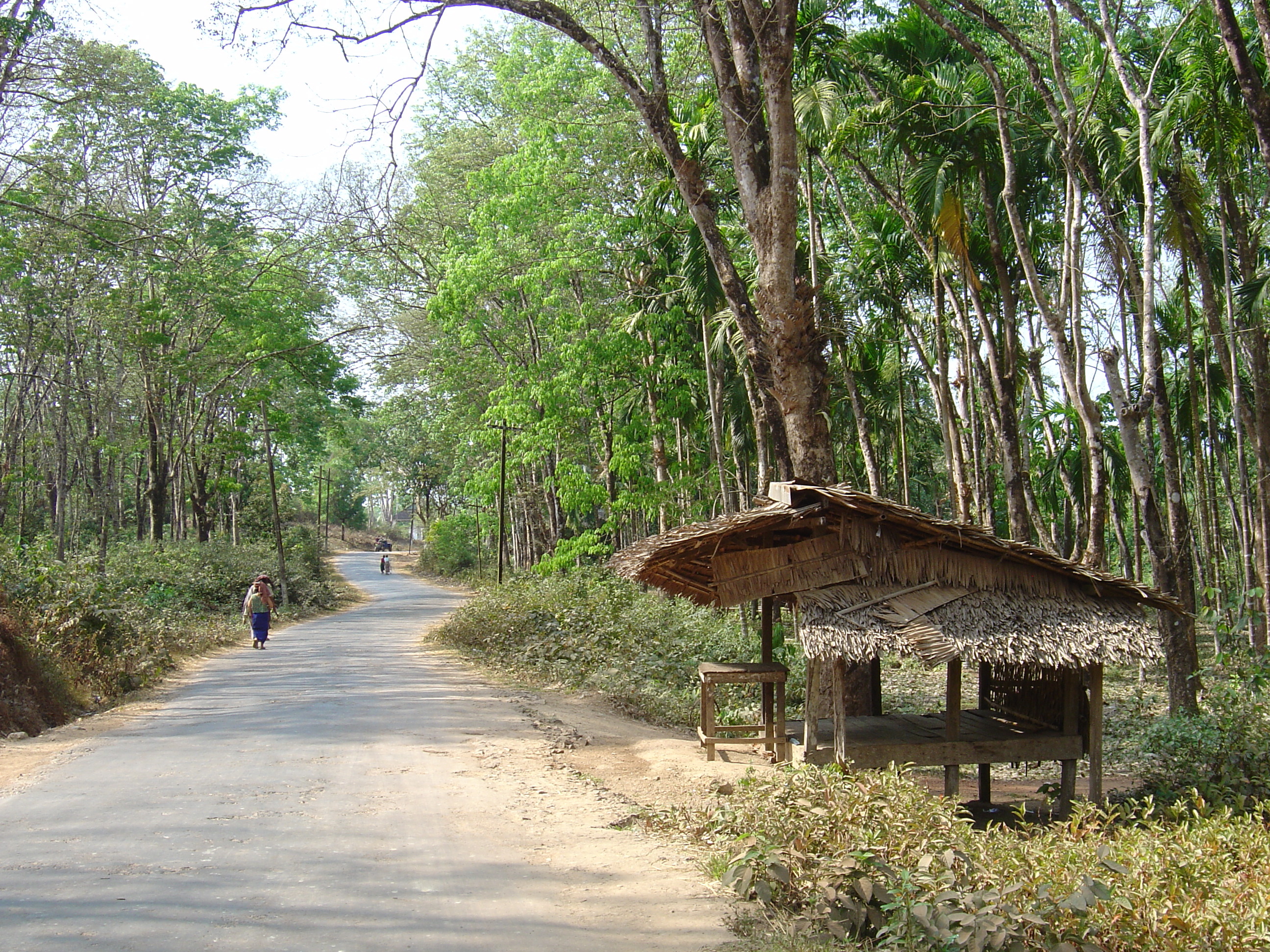 Picture Myanmar Road from Dawei to Maungmagan beach 2005-01 8 - Journey Road from Dawei to Maungmagan beach