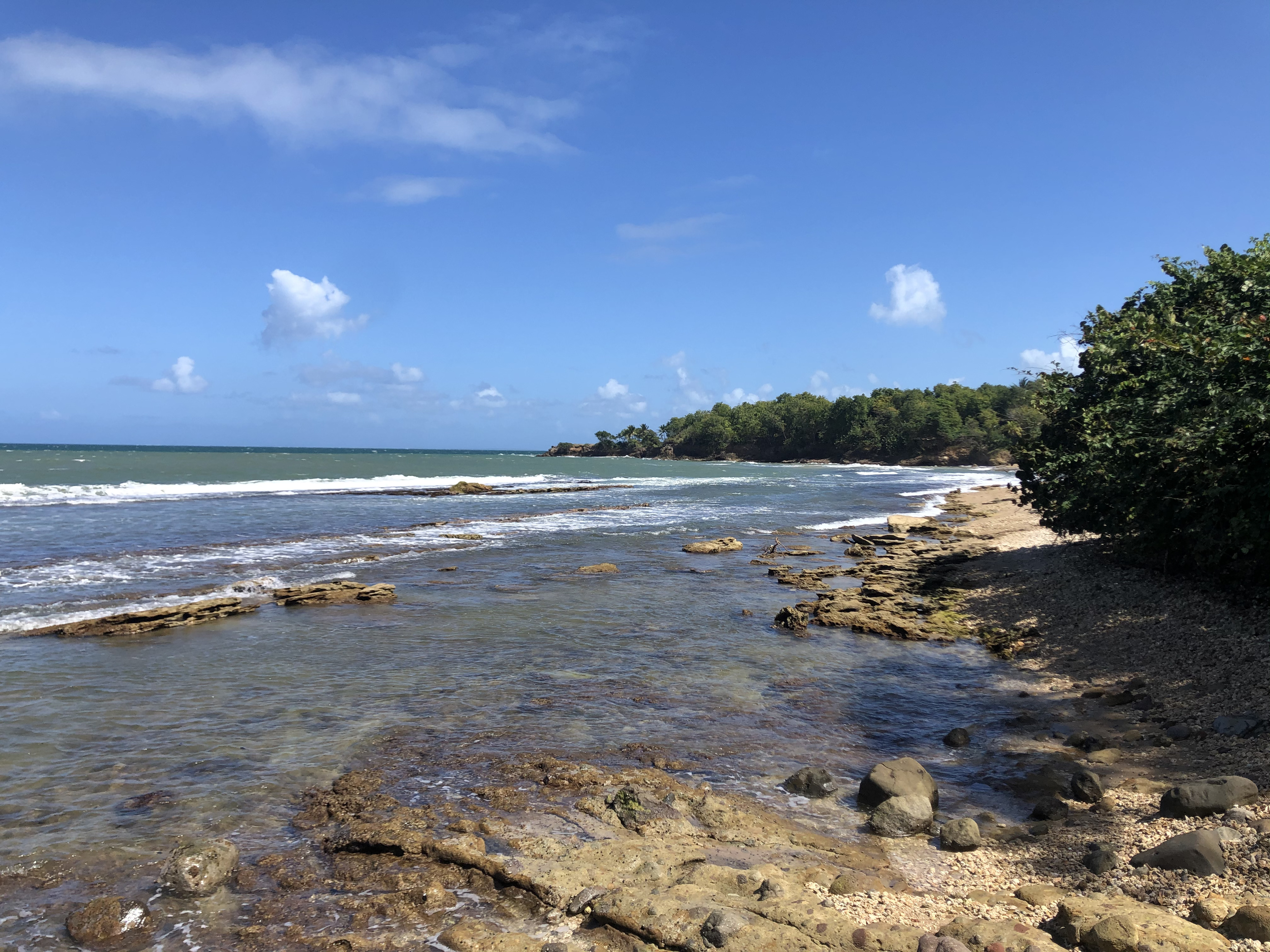 Picture Guadeloupe Clugny Beach 2021-02 10 - Around Clugny Beach