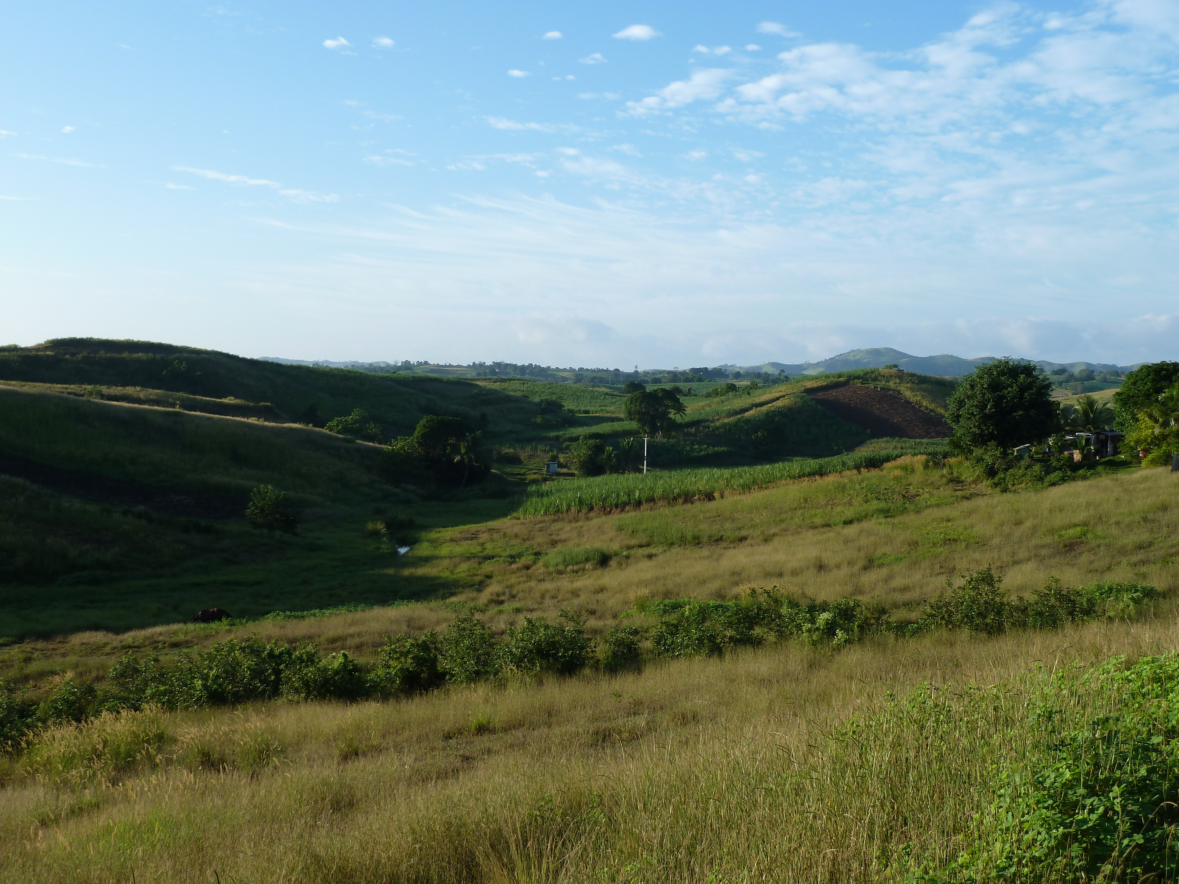 Picture Fiji Nadi to Sigatoka road 2010-05 35 - Discovery Nadi to Sigatoka road