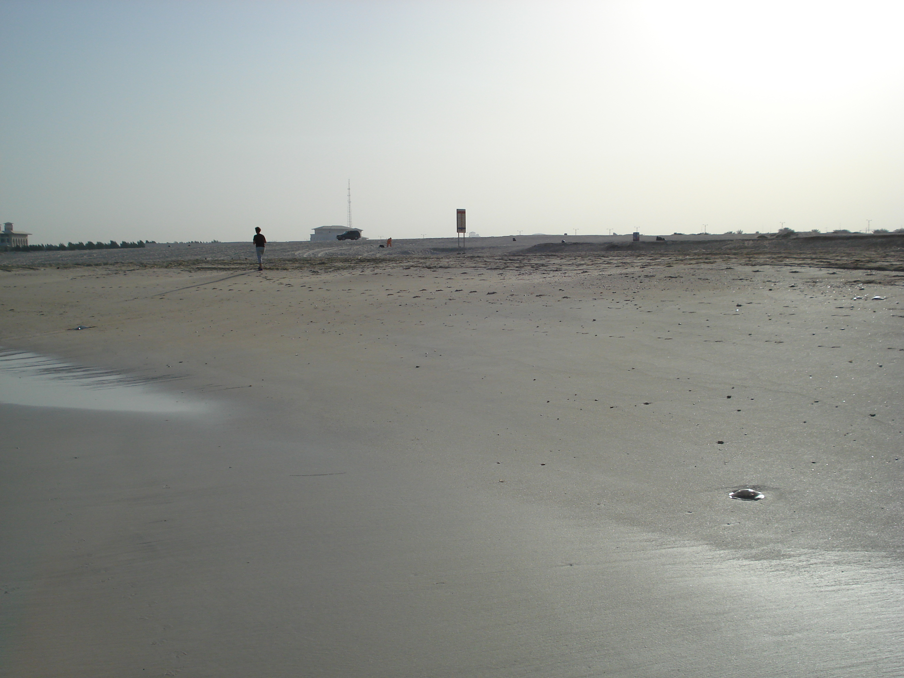 Picture United Arab Emirates Dubai Jumeirah Beach 2007-03 18 - Discovery Jumeirah Beach