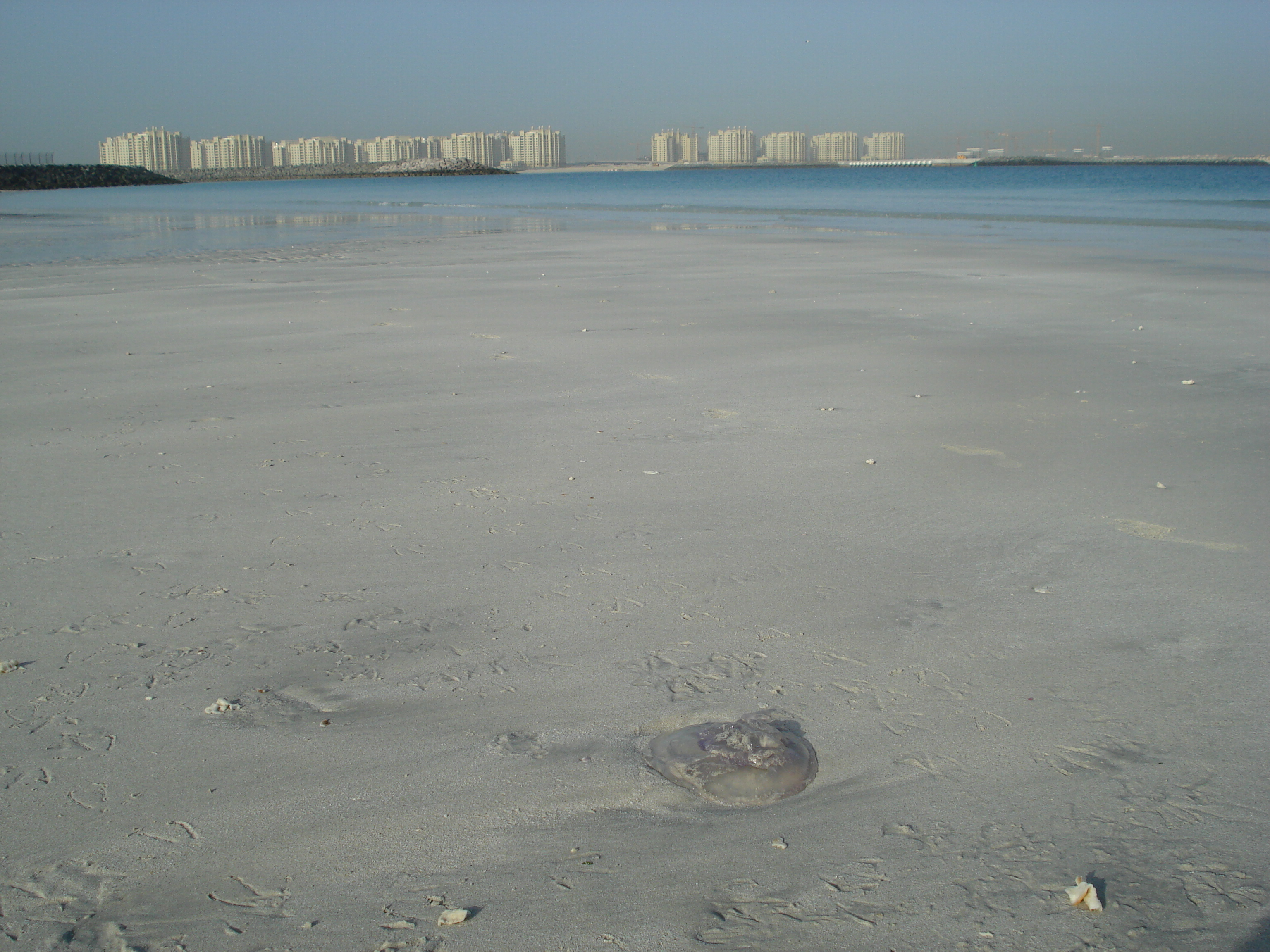 Picture United Arab Emirates Dubai Jumeirah Beach 2007-03 16 - Center Jumeirah Beach