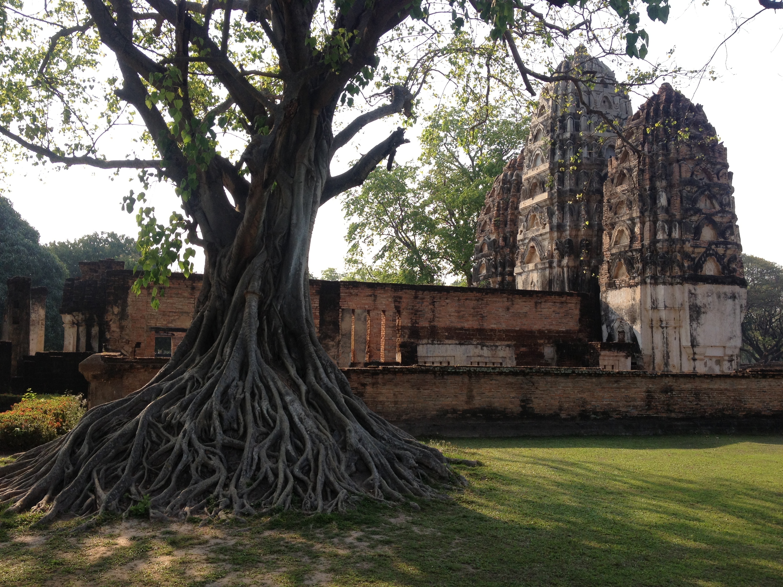 Picture Thailand Sukhothai 2014-02 30 - Tours Sukhothai