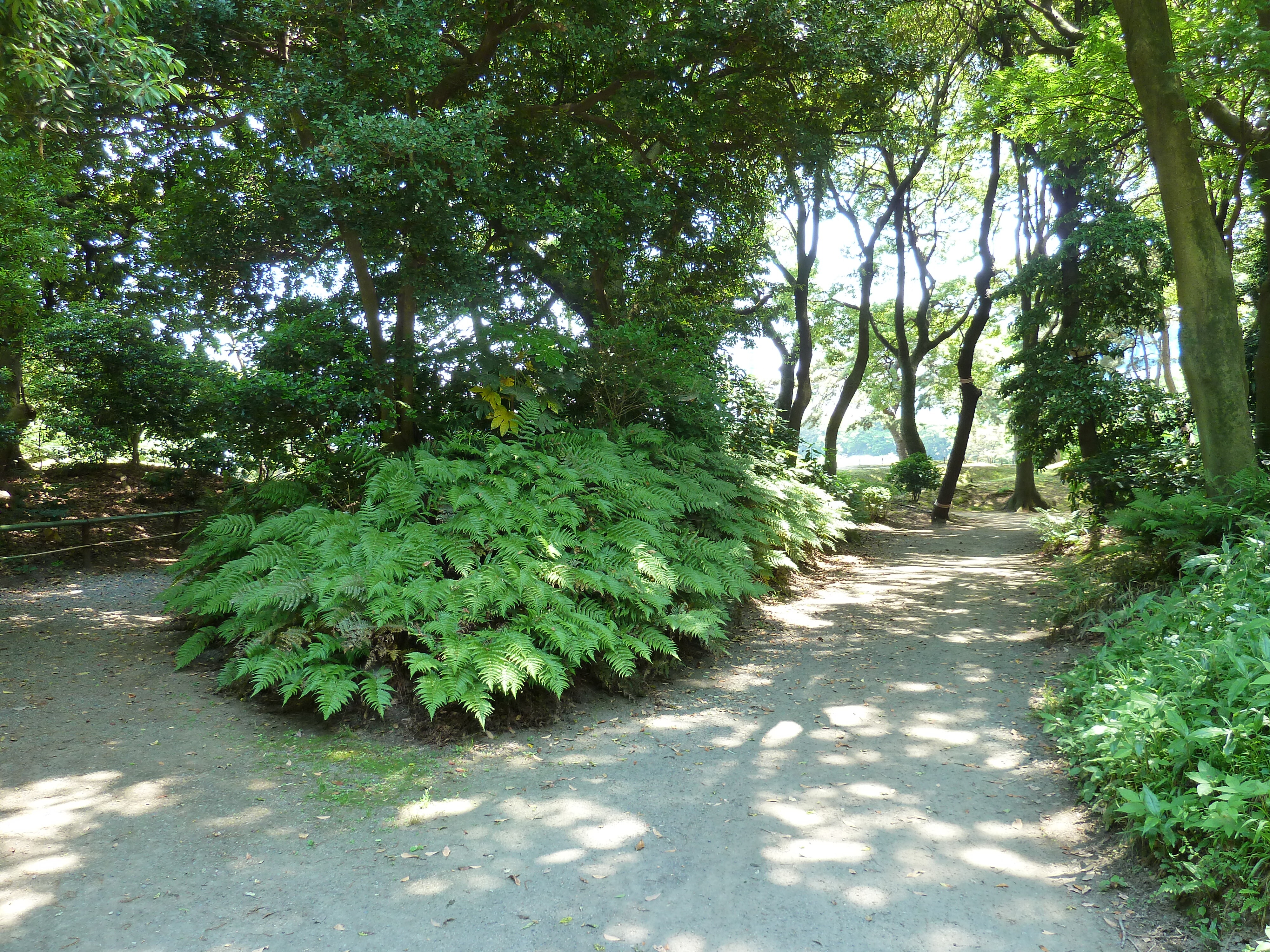 Picture Japan Tokyo Hama rikyu Gardens 2010-06 43 - Journey Hama rikyu Gardens