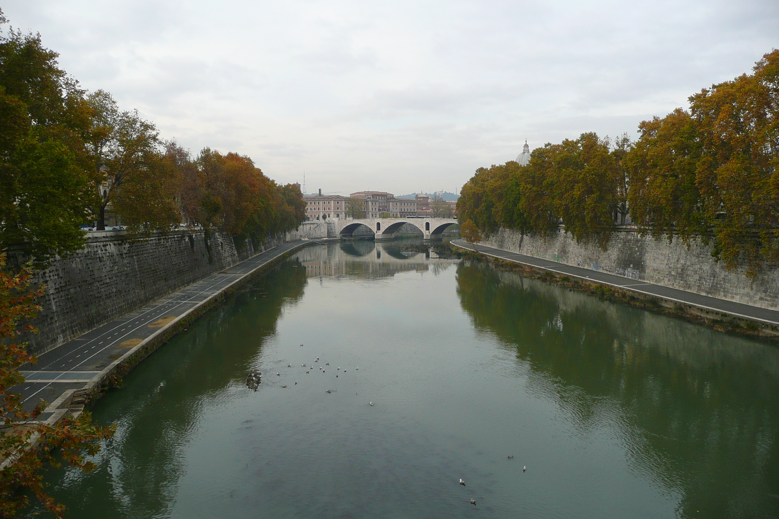 Picture Italy Rome Lungotevere Gianicolense 2007-11 13 - Around Lungotevere Gianicolense