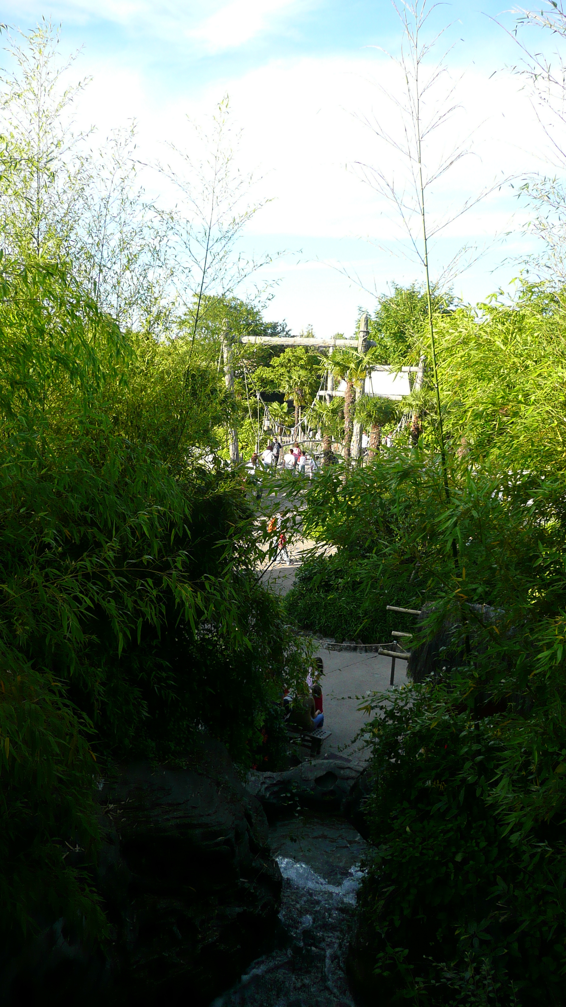 Picture France Disneyland Paris La Cabane des Robinson 2007-07 27 - Tour La Cabane des Robinson