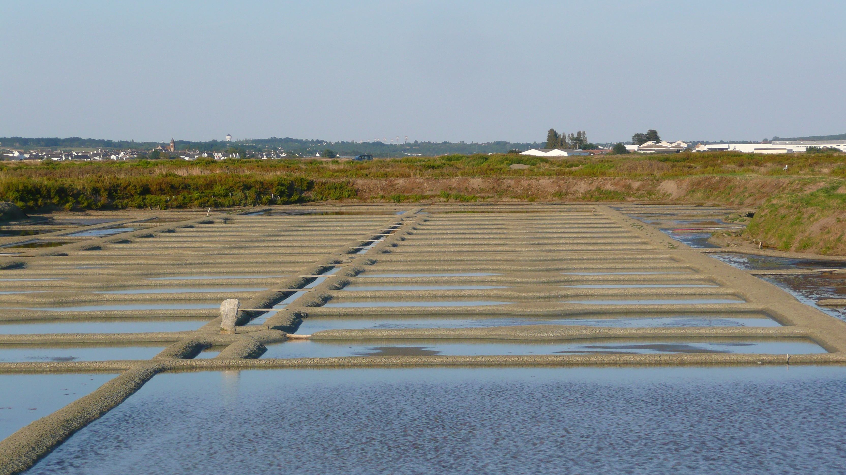 Picture France Guerande Les marais salants 2007-08 21 - Around Les marais salants