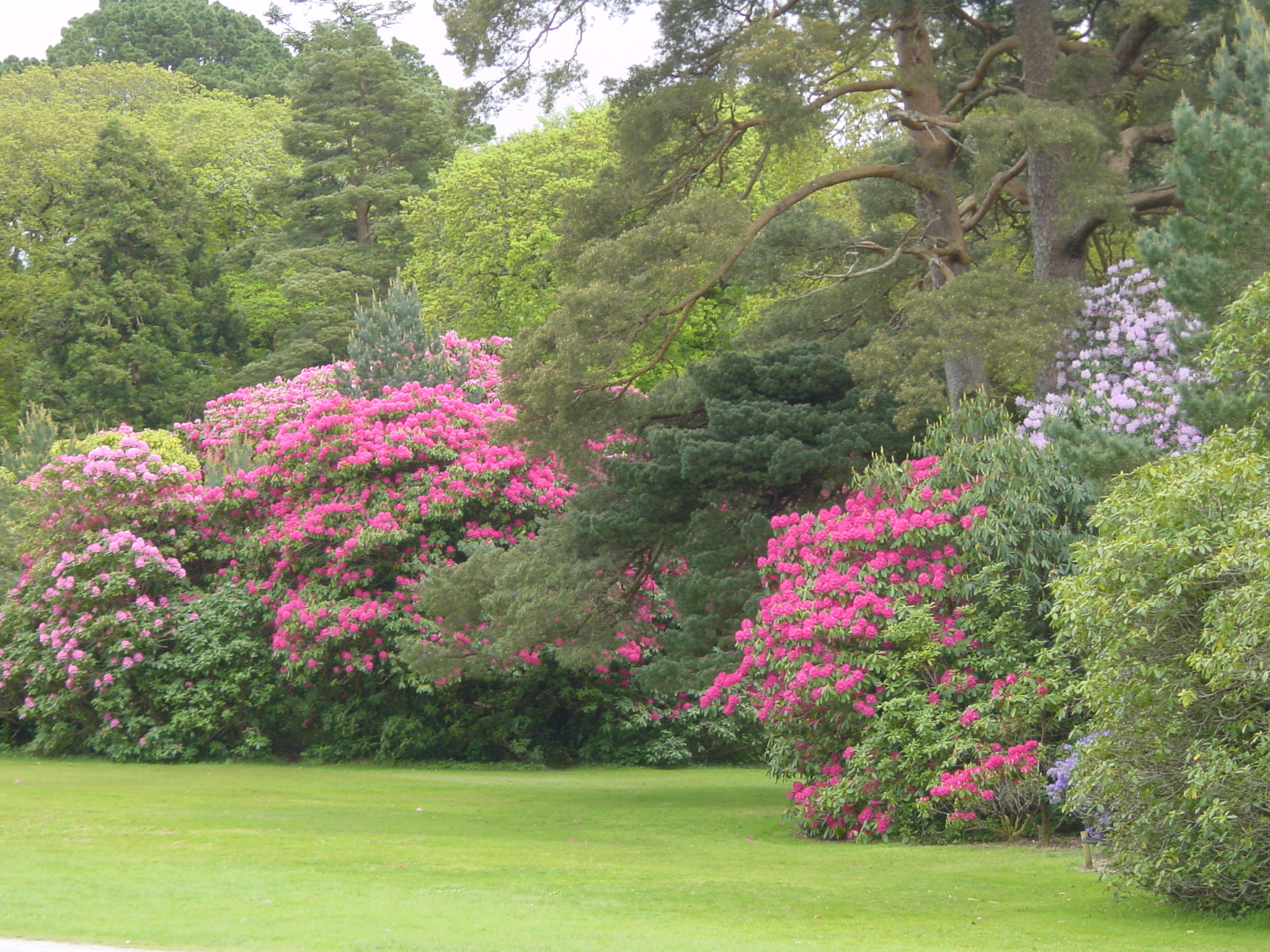 Picture Ireland Kerry Killarney National Park Muckross House 2004-05 16 - History Muckross House