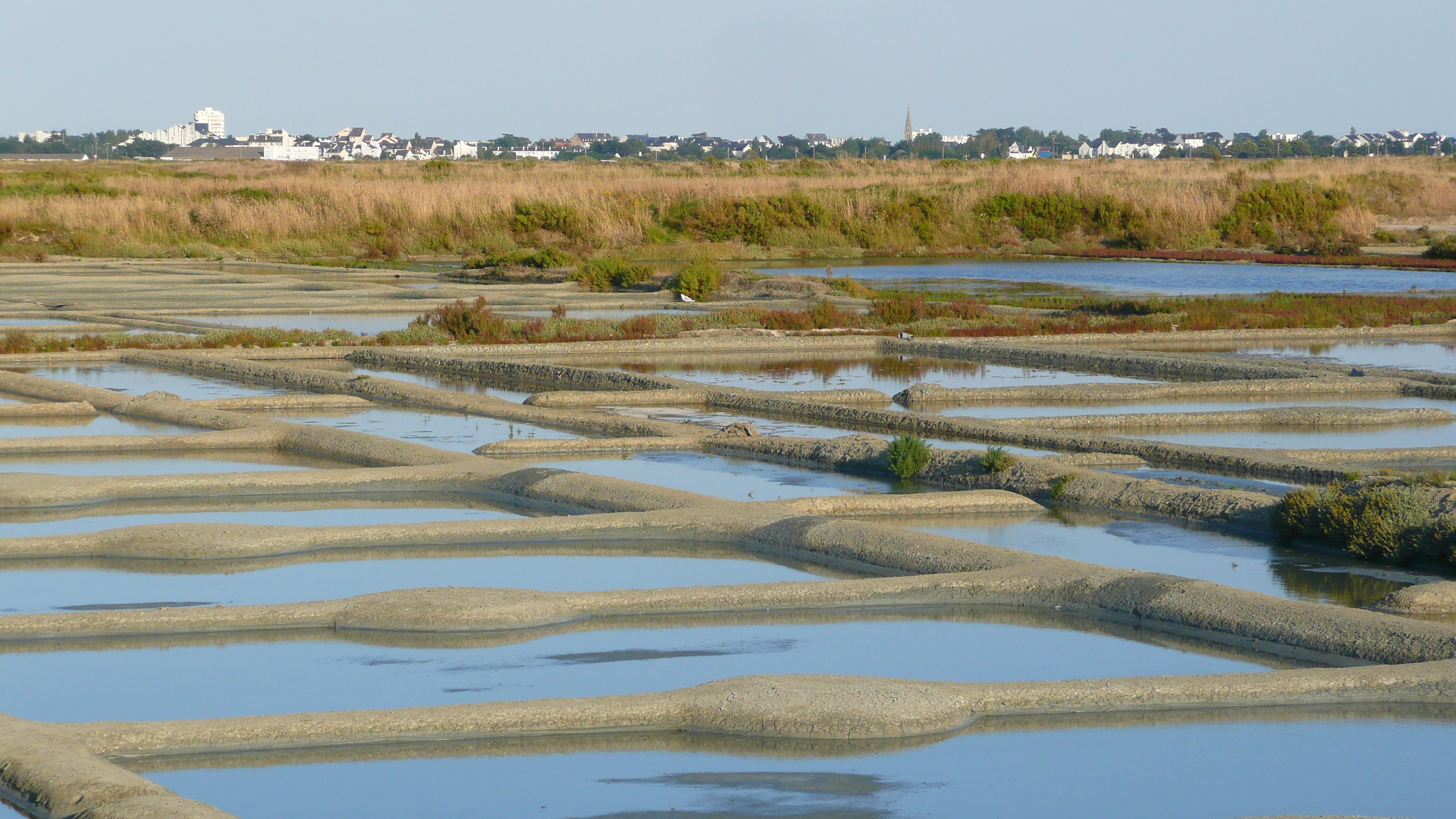 Picture France Guerande Les marais salants 2007-08 26 - Tours Les marais salants