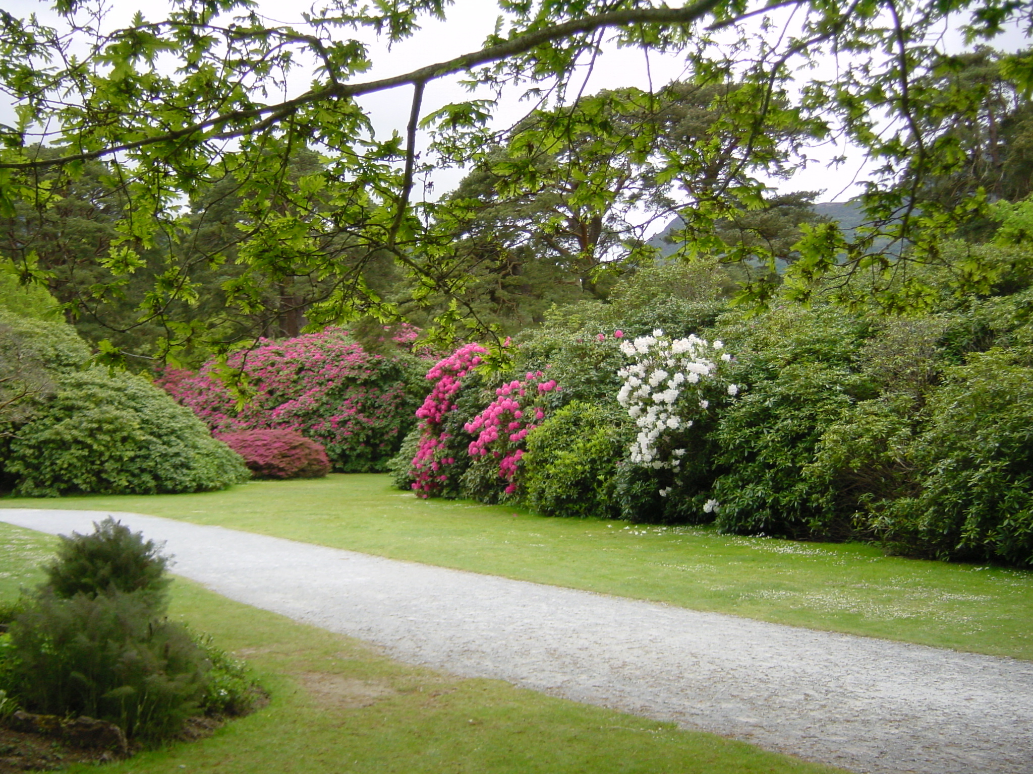 Picture Ireland Kerry Killarney National Park Muckross House 2004-05 17 - Tour Muckross House